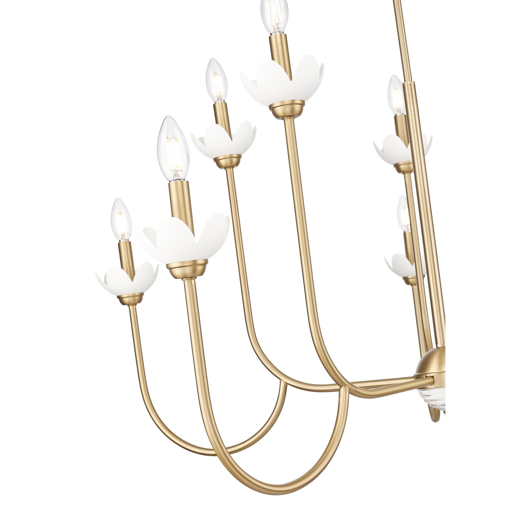 Allistair 42 Inch Chandelier by Z Lite