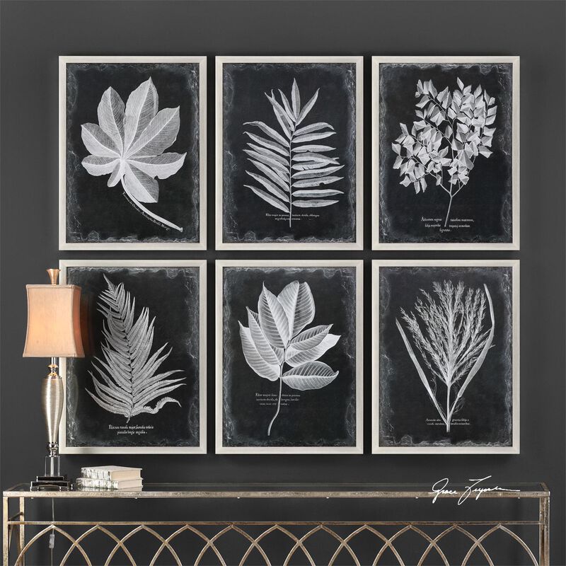 Foliage Print by Uttermost