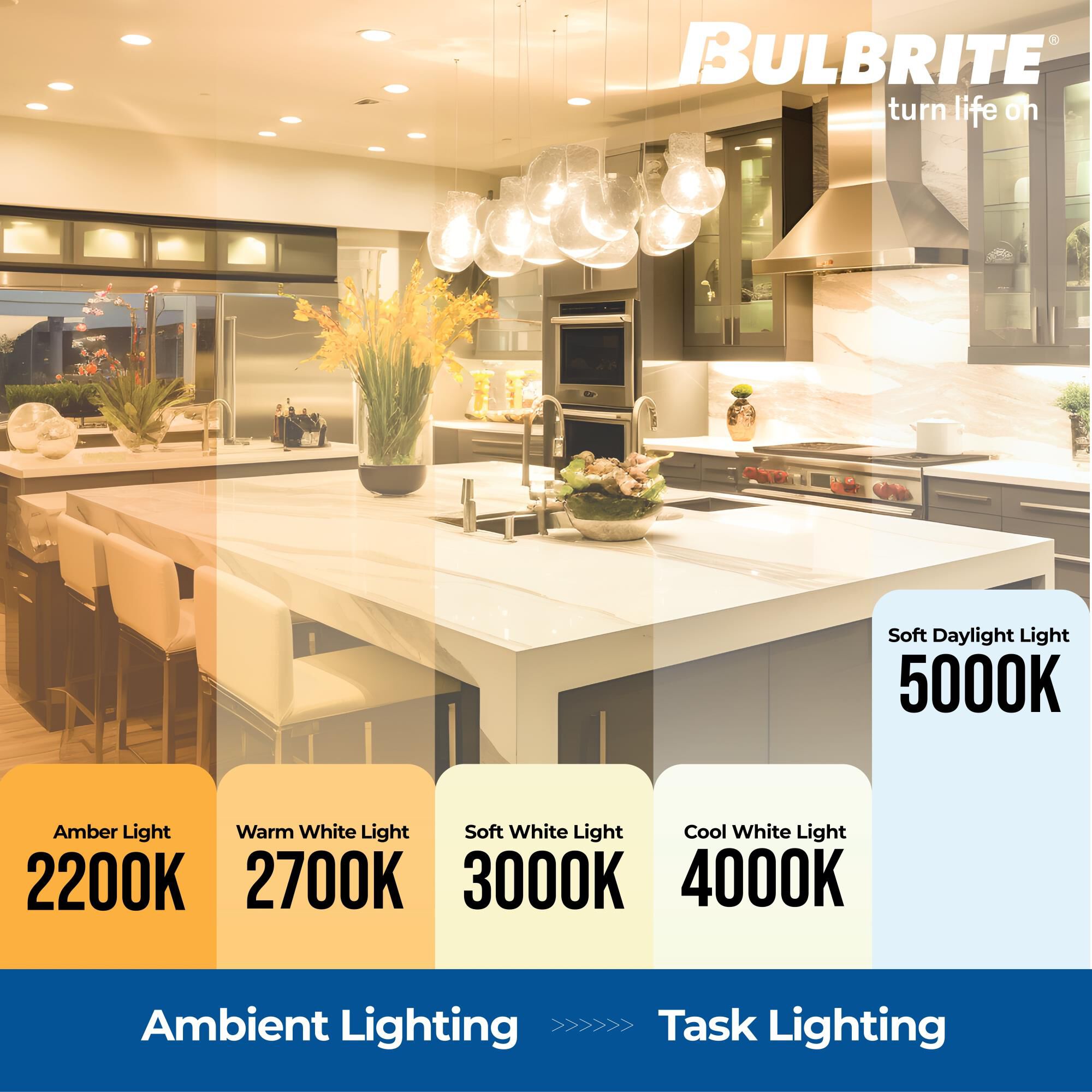 Clear A19 Base E26 5000K LED Light Bulb,