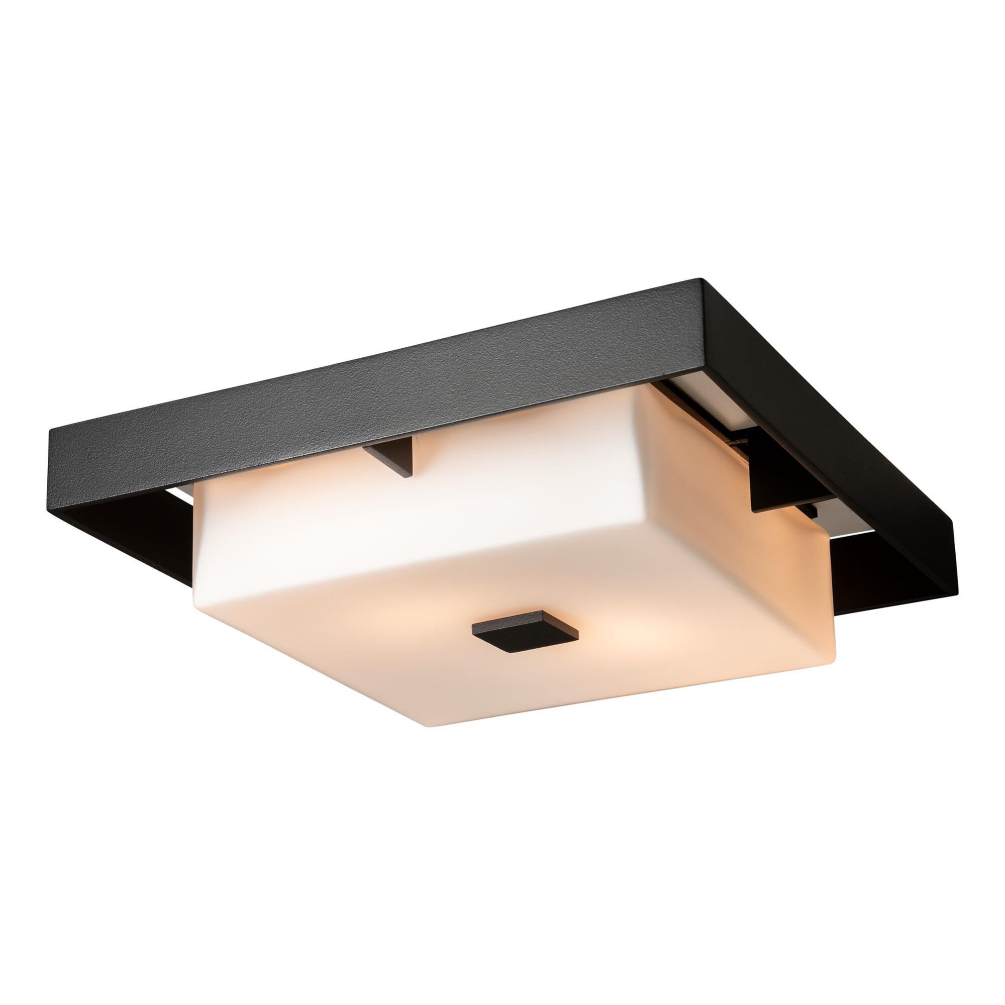 Shadow Box 12 Inch 2 Light Outdoor Flush Mount,