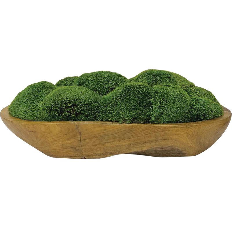 Uttermost Kinsale Moss Centerpiece Botanical by Uttermost