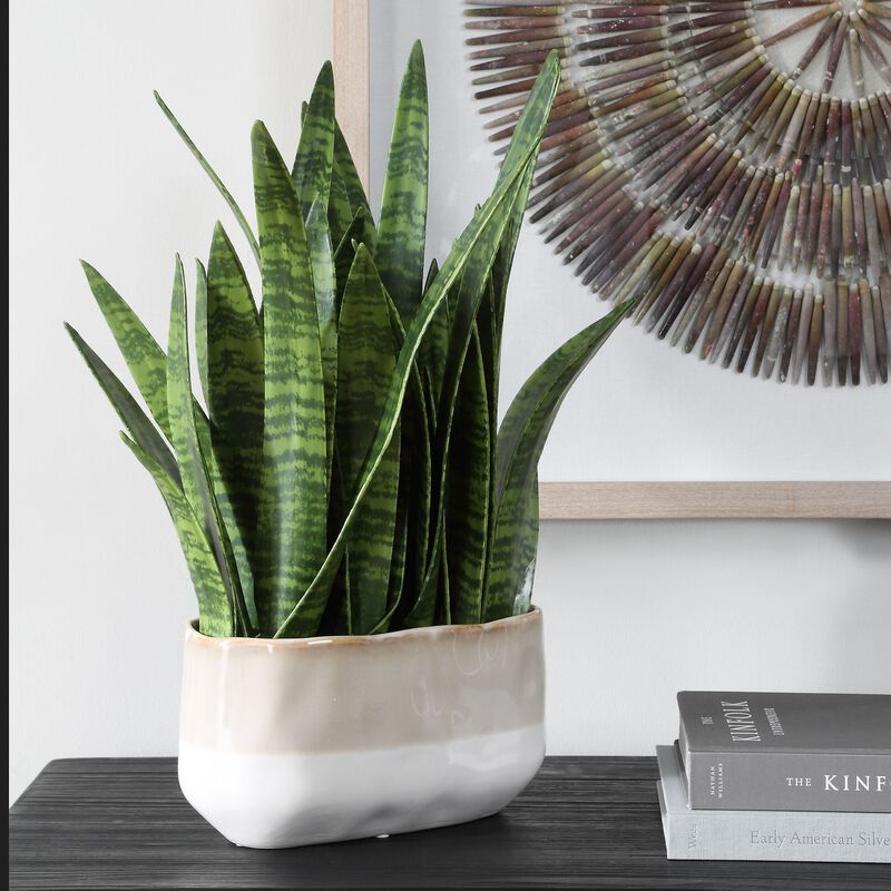 Sansera Snake Botanical by Uttermost