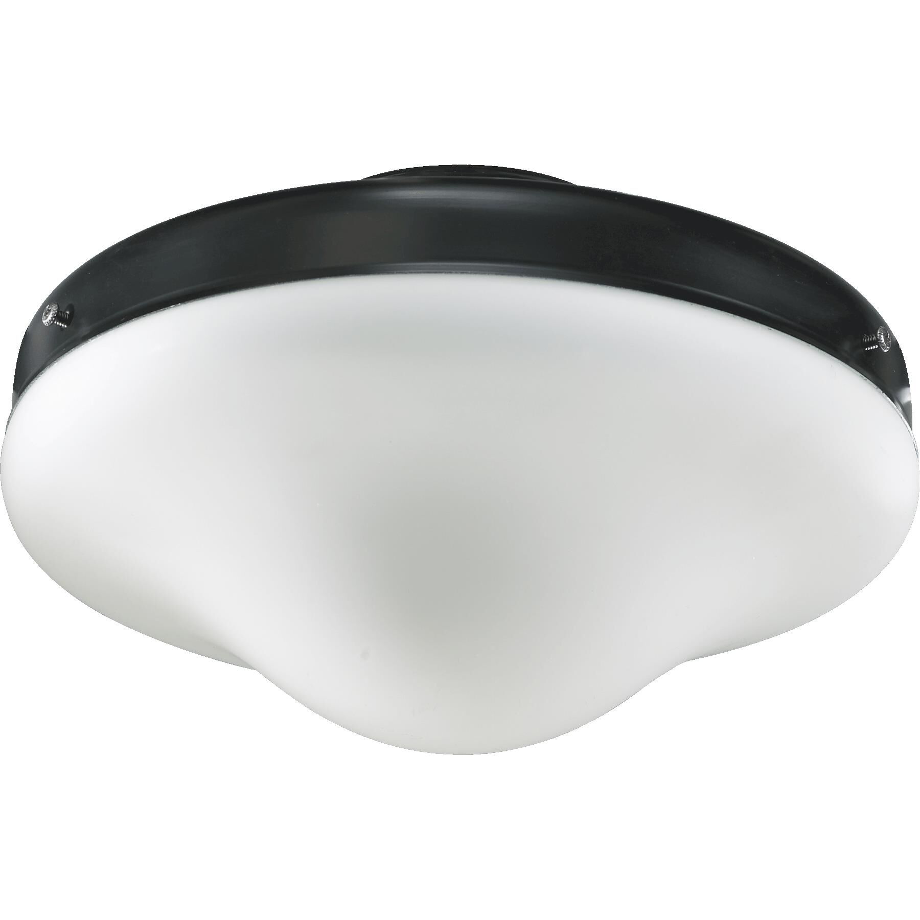 1 Light Fan Light Kit by Quorum International