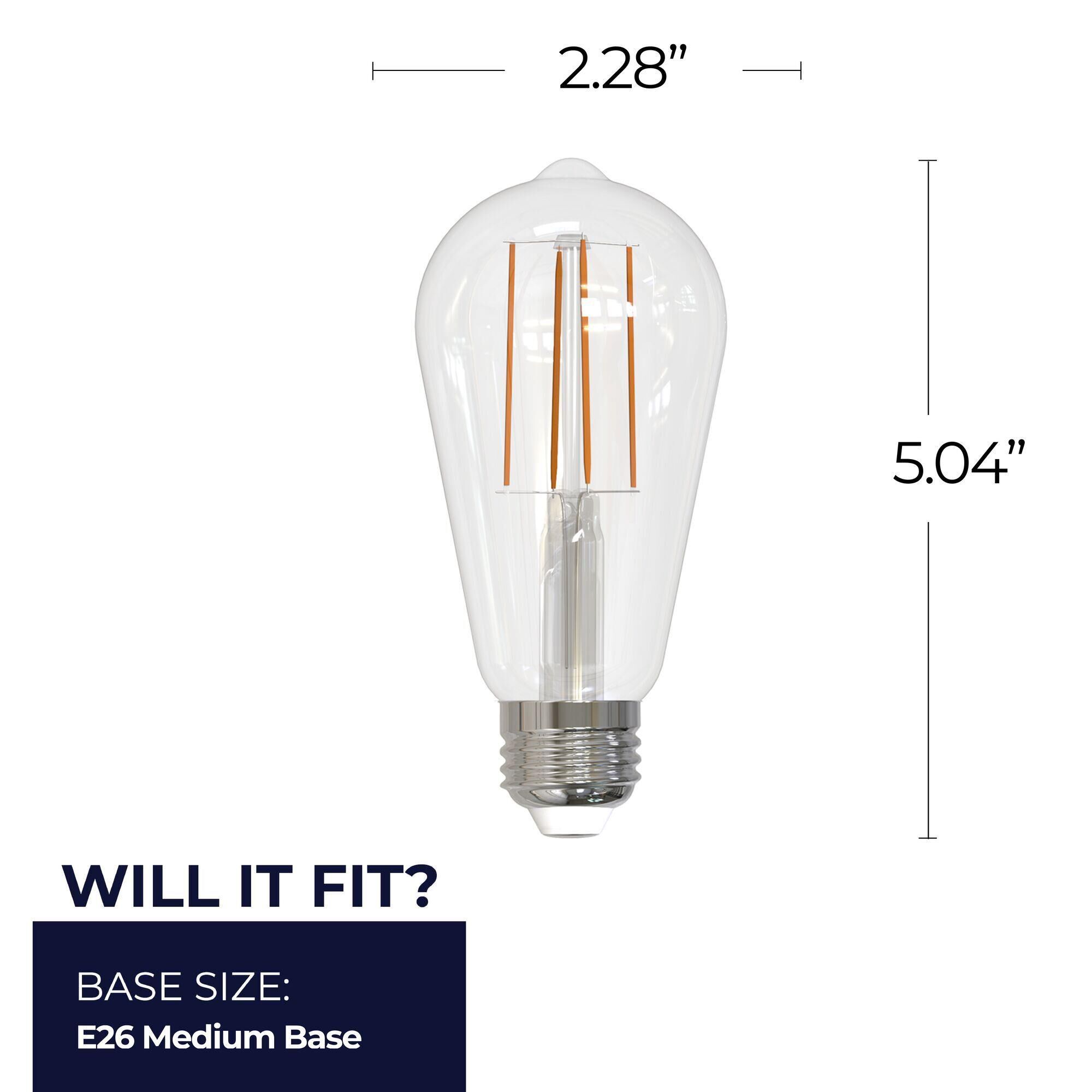 Clear ST18 Base E26 5000K LED Light Bulb by Bulbrite