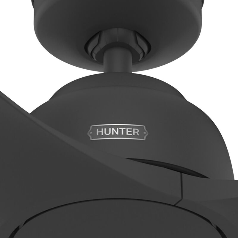 Gallegos 52 Inch Ceiling Fan by Hunter Fan