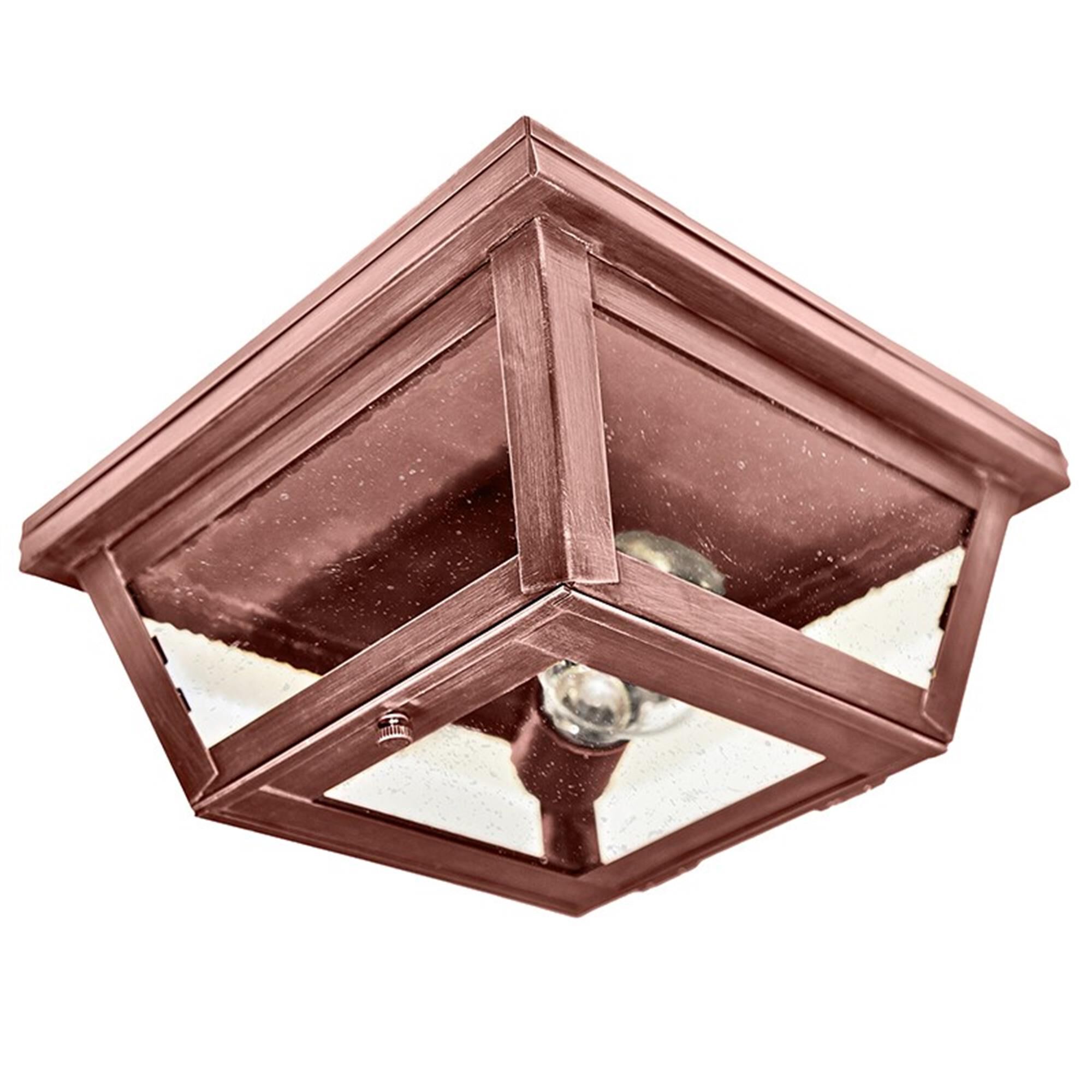 Williams 9 Inch Outdoor Flush Mount,