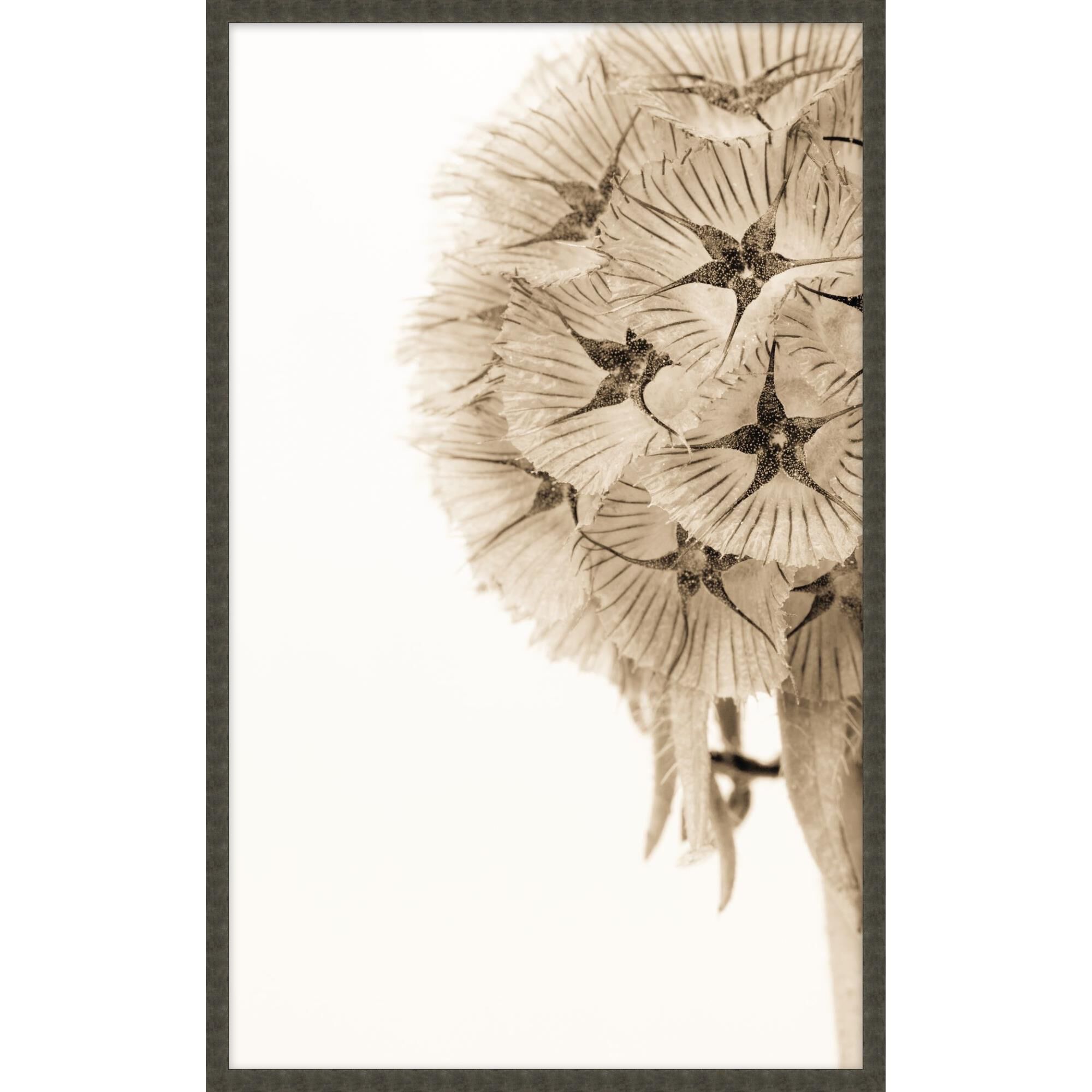 Dawning Bloom Print by Level57