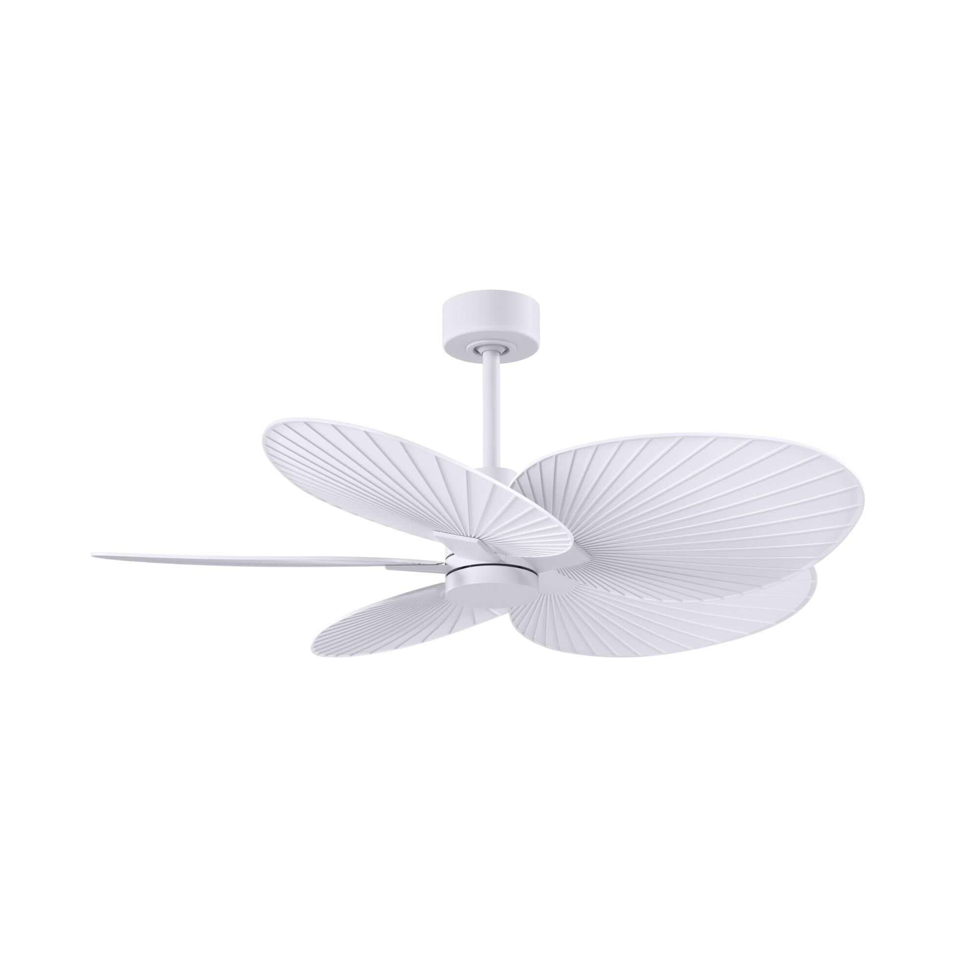 Alessandra Tropical 48 Inch Ceiling Fan by Matthews Fan Company