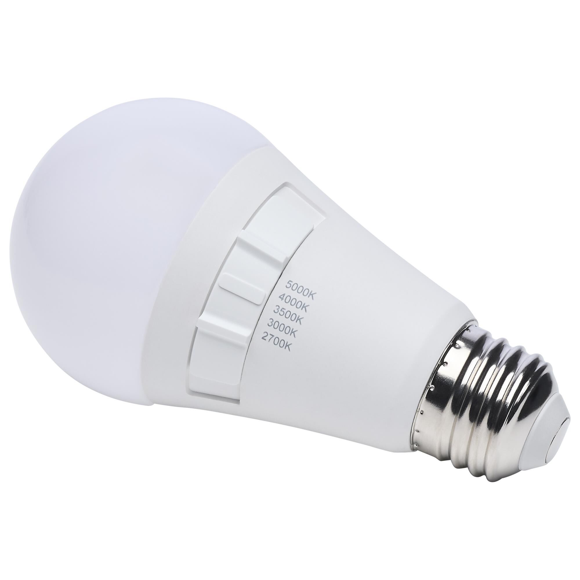 14 Watt 2700K A19 LED Light Bulb,