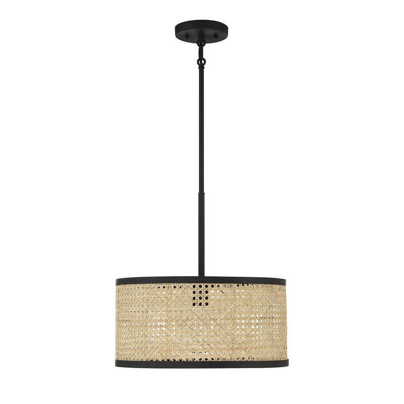 Meridian Lighting 16 Inch LED Large Pendant