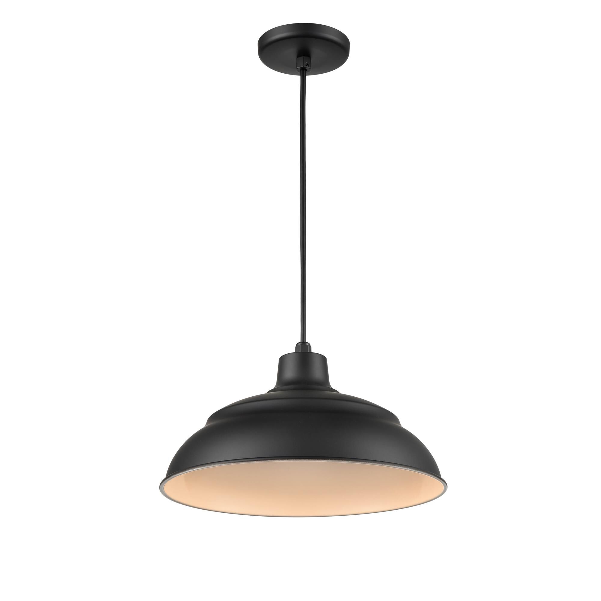 R Series Large Pendant by Millennium Lighting