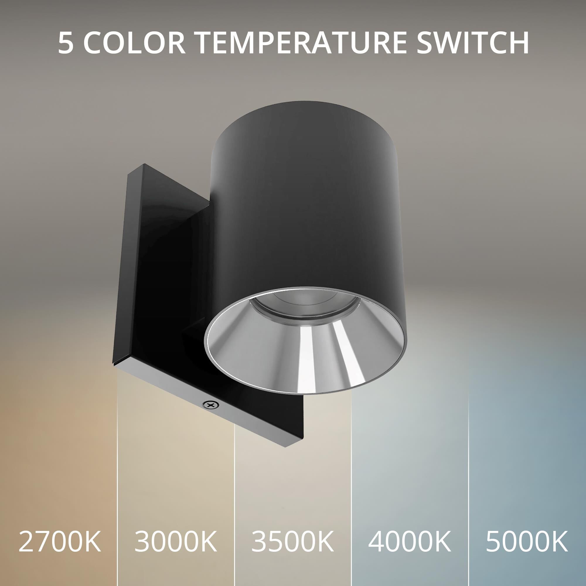 Zoron 4 Inch Outdoor Wall Light by WAC Lighting