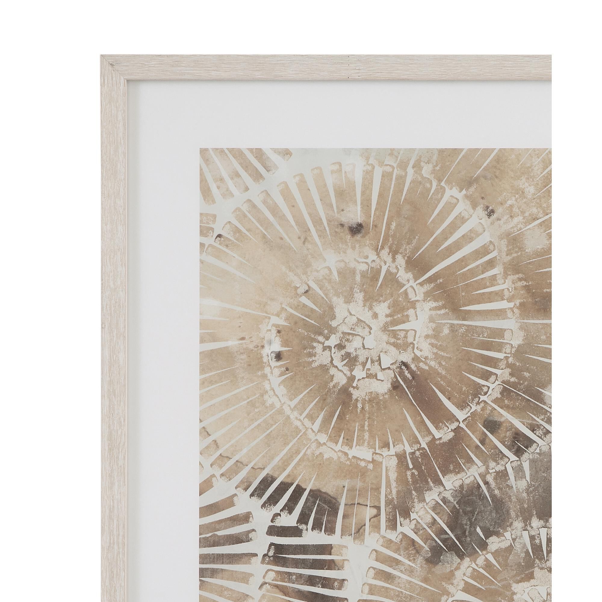 Fossil Nautilus 32 Inch Print by Bassett Mirror Company