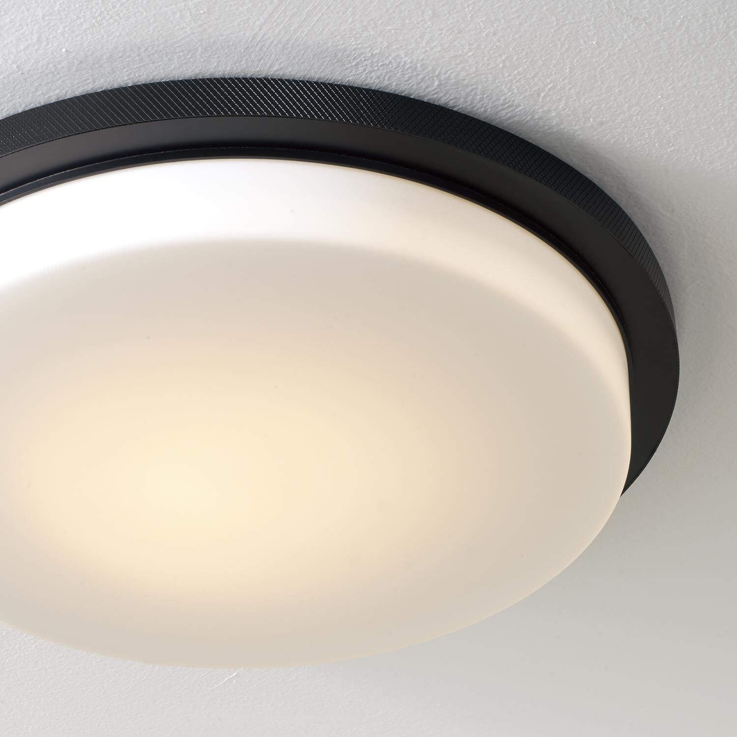 Dominic 16 Inch Flush Mount by Capital Lighting