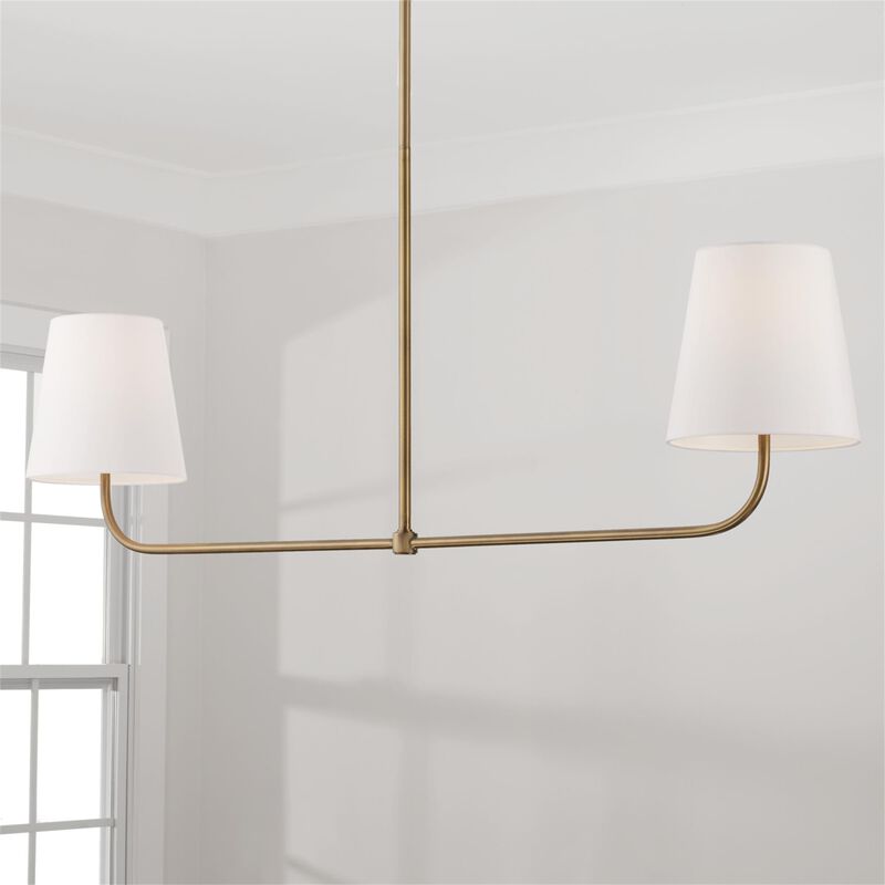 Brody 50 Inch 2 Light Linear Suspension Light by Capital Lighting Fixture Company
