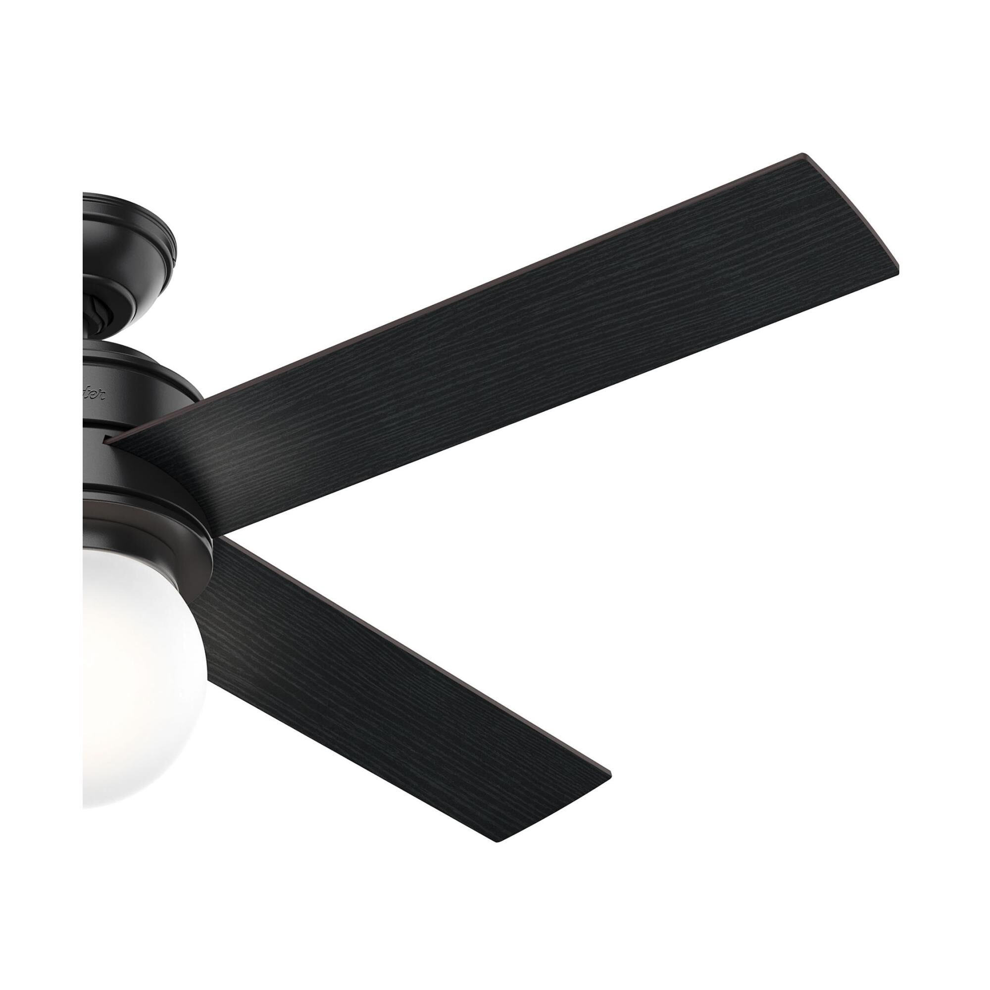 Hepburn 52 Inch Ceiling Fan with Light Kit by Hunter Fan