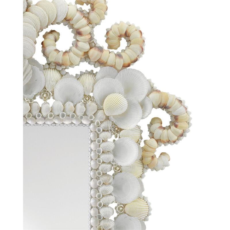 Cecilia Decorative Mirrors by Currey and Company