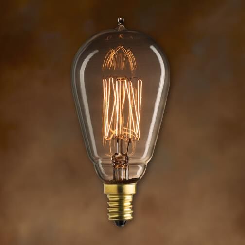 25 Watt 1800K ST15 Vintage Light Bulb,
