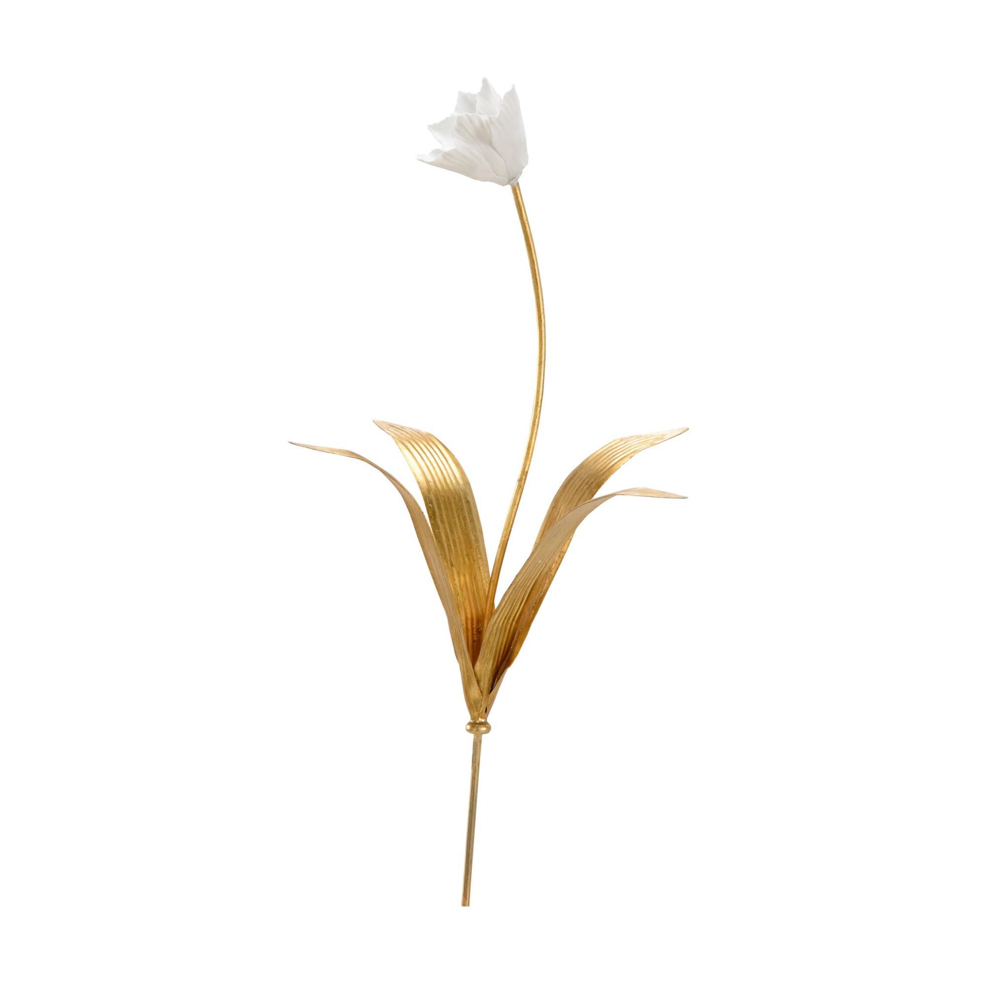 TULIP STEM-SMALL Botanical,