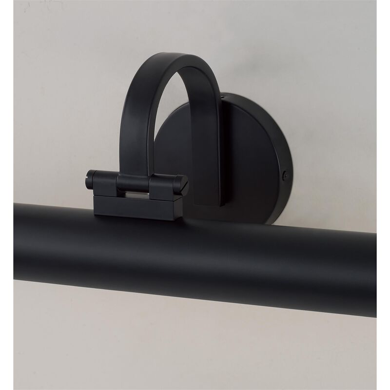 Morgan 22 Inch Picture and Display Light by Capital Lighting