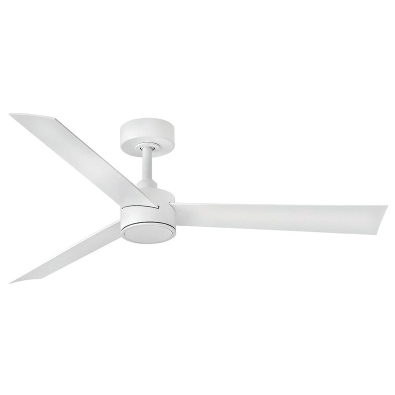 Speck 52 Inch Flush Mount Fan with Light Kit by Hinkley