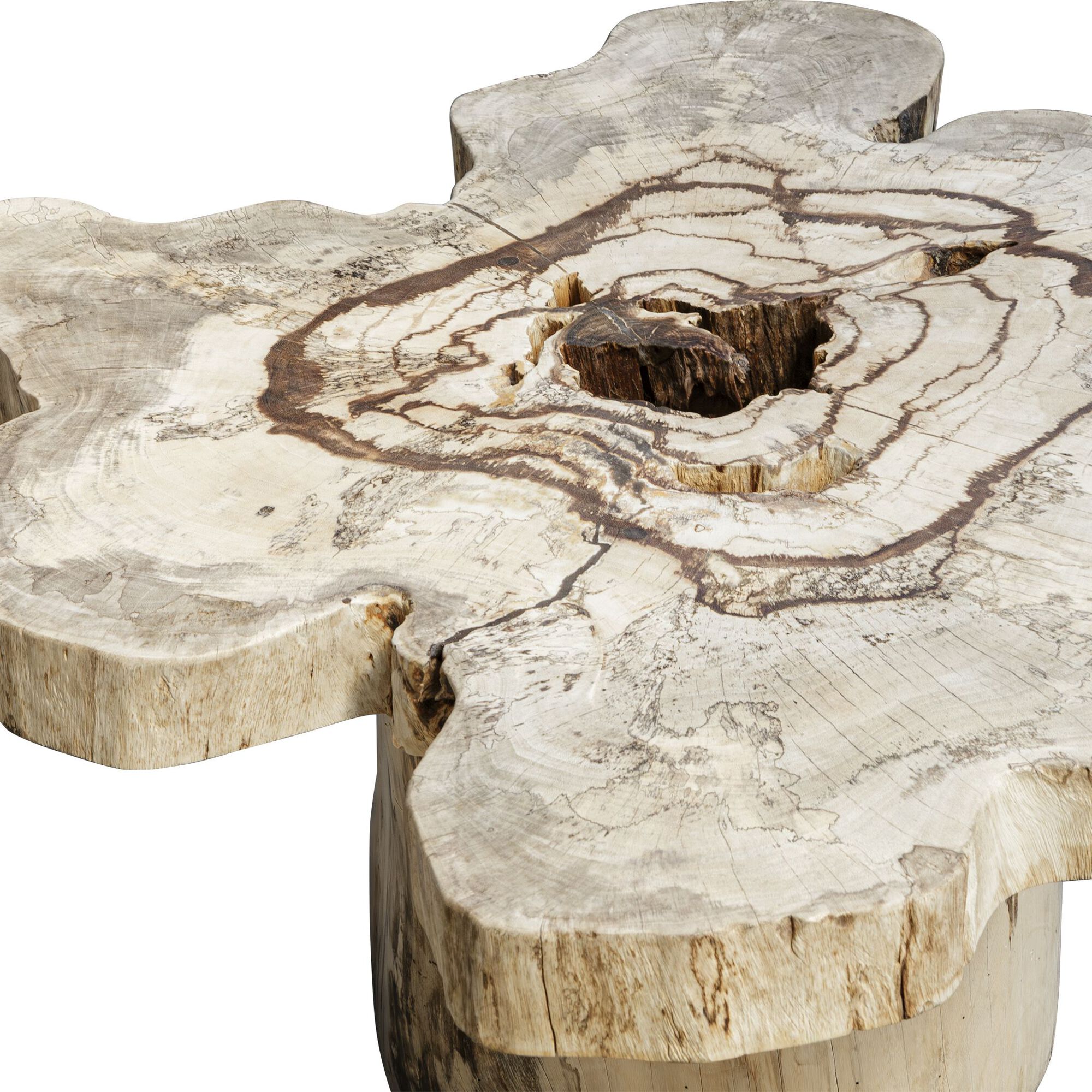 Anzalone 28 Inch Coffee Table,