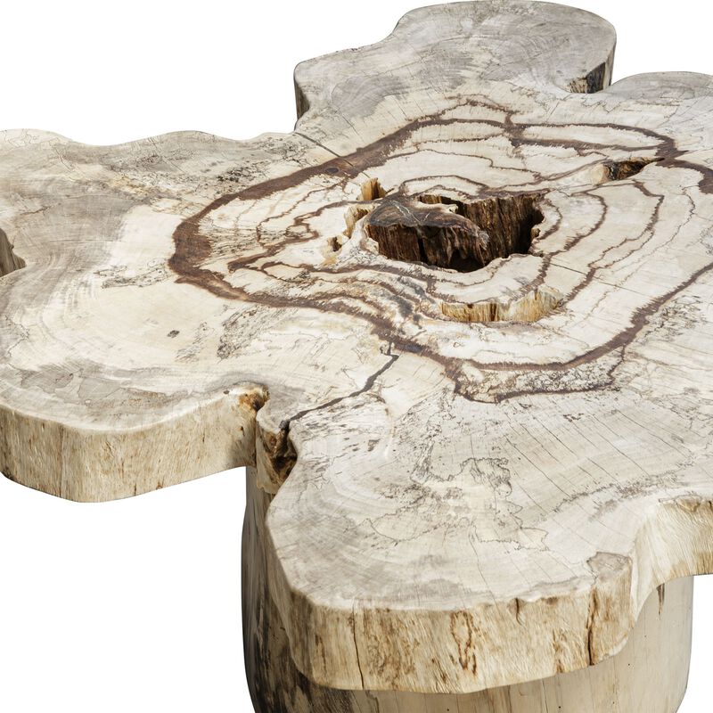 Anzalone 28 Inch Coffee Table by Uttermost