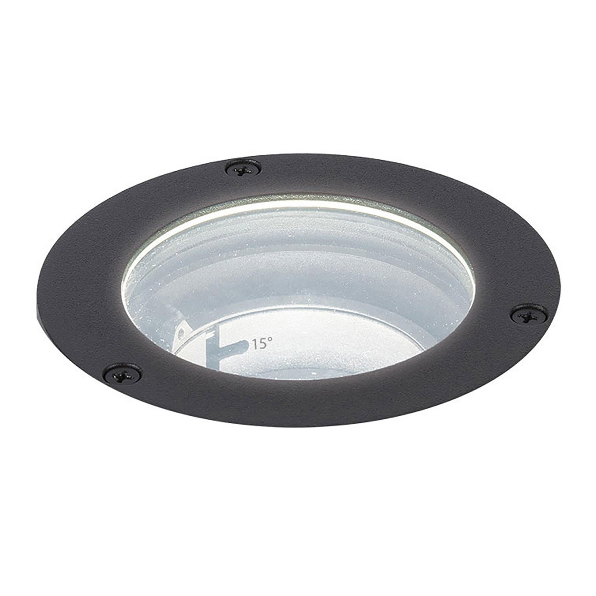 Grand 6 Inch Landscape Specialty Light by WAC Lighting