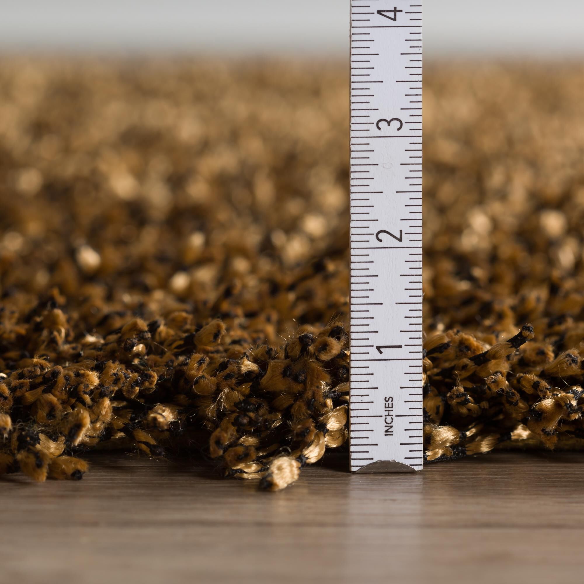 Belize BZ100 Area Rug,