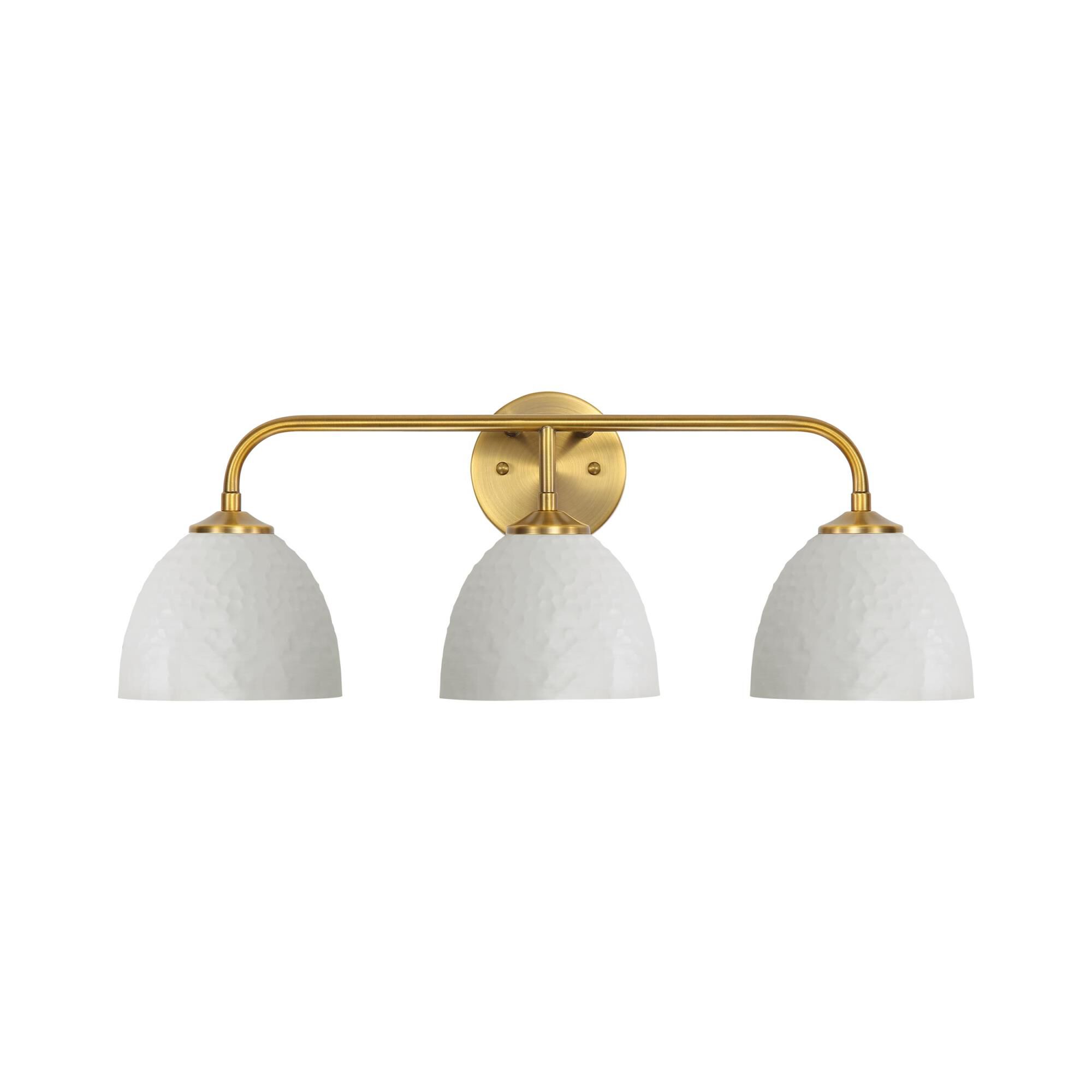 Shepard 25 Inch Bath Vanity Light by Golden Lighting