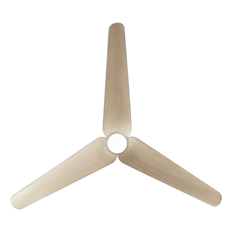 Tempri 56 Inch Ceiling Fan with Light Kit by Minka Aire