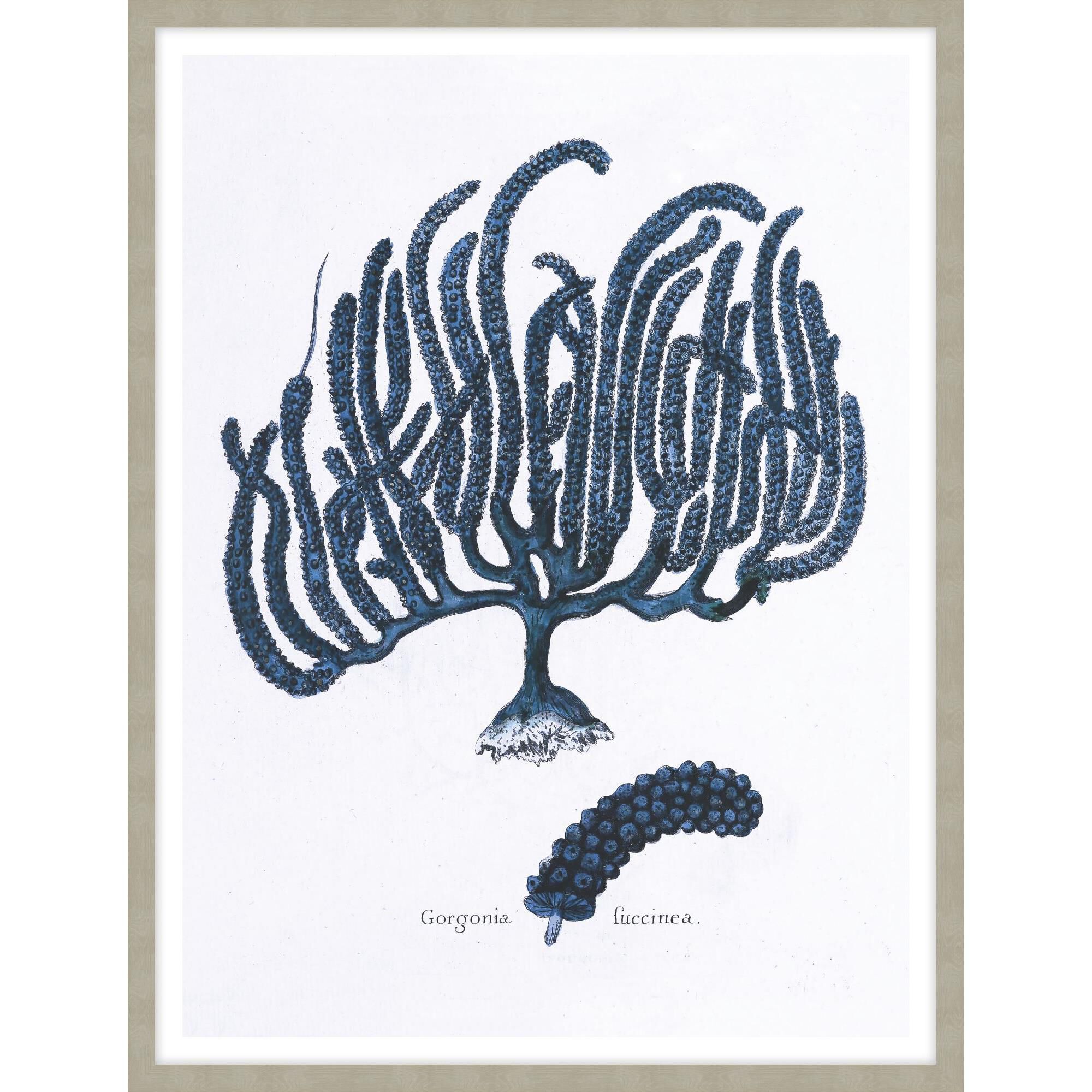 Studio L57 Nouvelle Bygone Times Print by LEVEL57