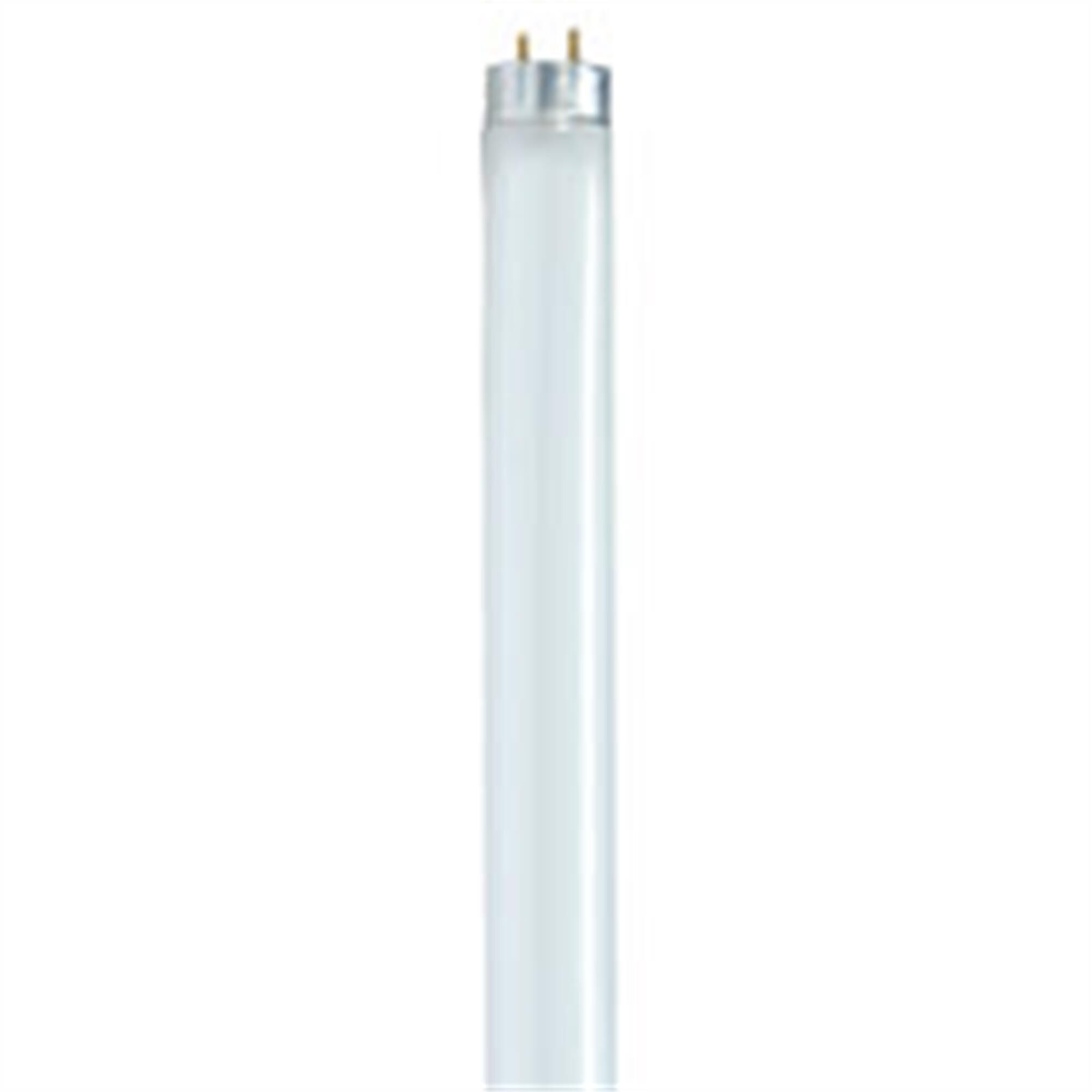 58 Watt 3500K T8 Fluorescent Light Bulb,