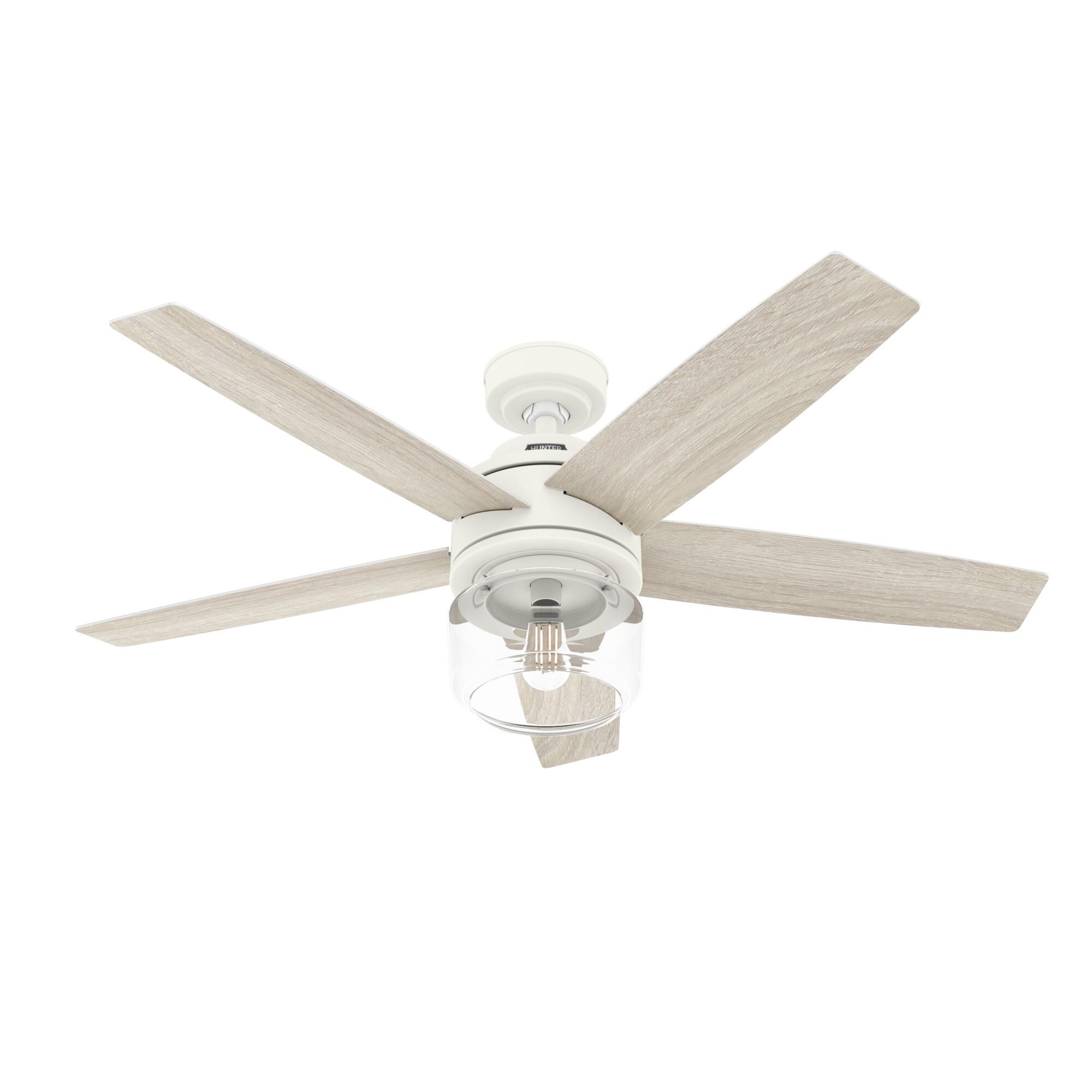 Margo Ceiling Fan by Hunter Fan