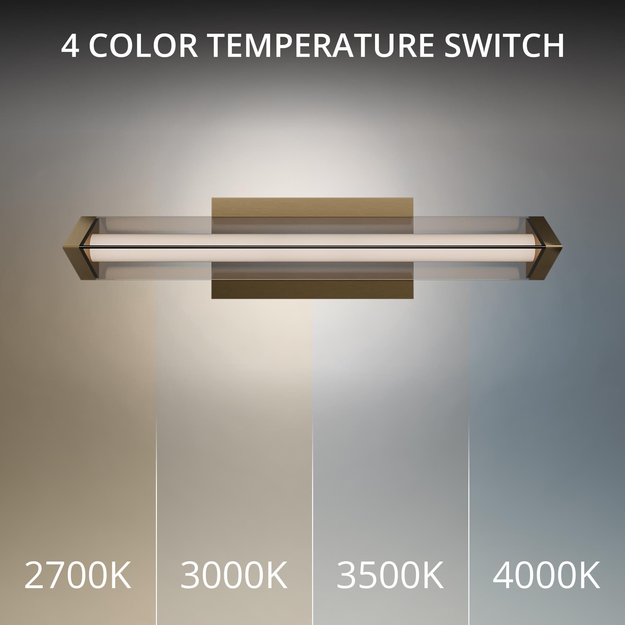 Boulevard 18 Inch Bath Vanity Light by dweLED