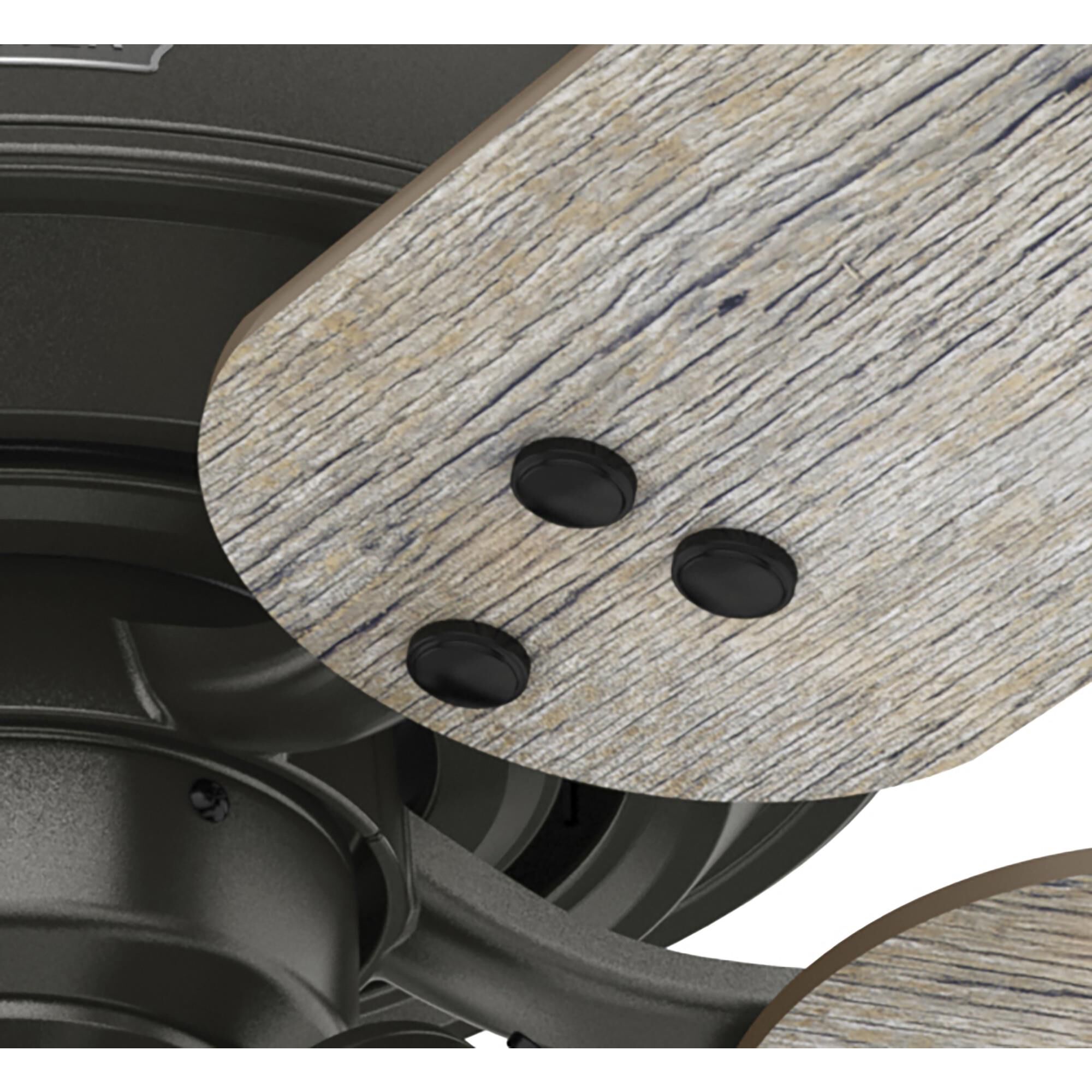 Shady Grove Ceiling Fan by Hunter Fan