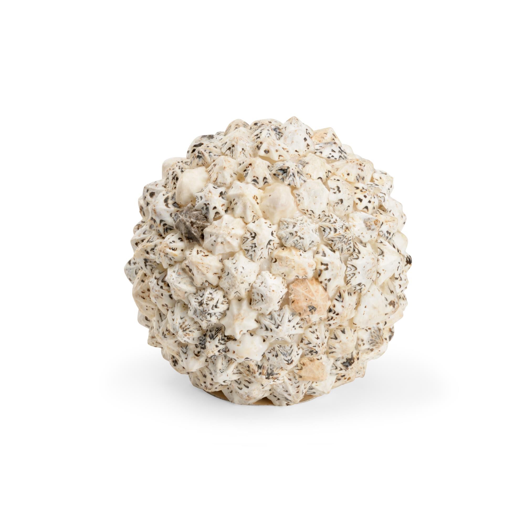Shell Ball Decorative Sphere by Chelsea House