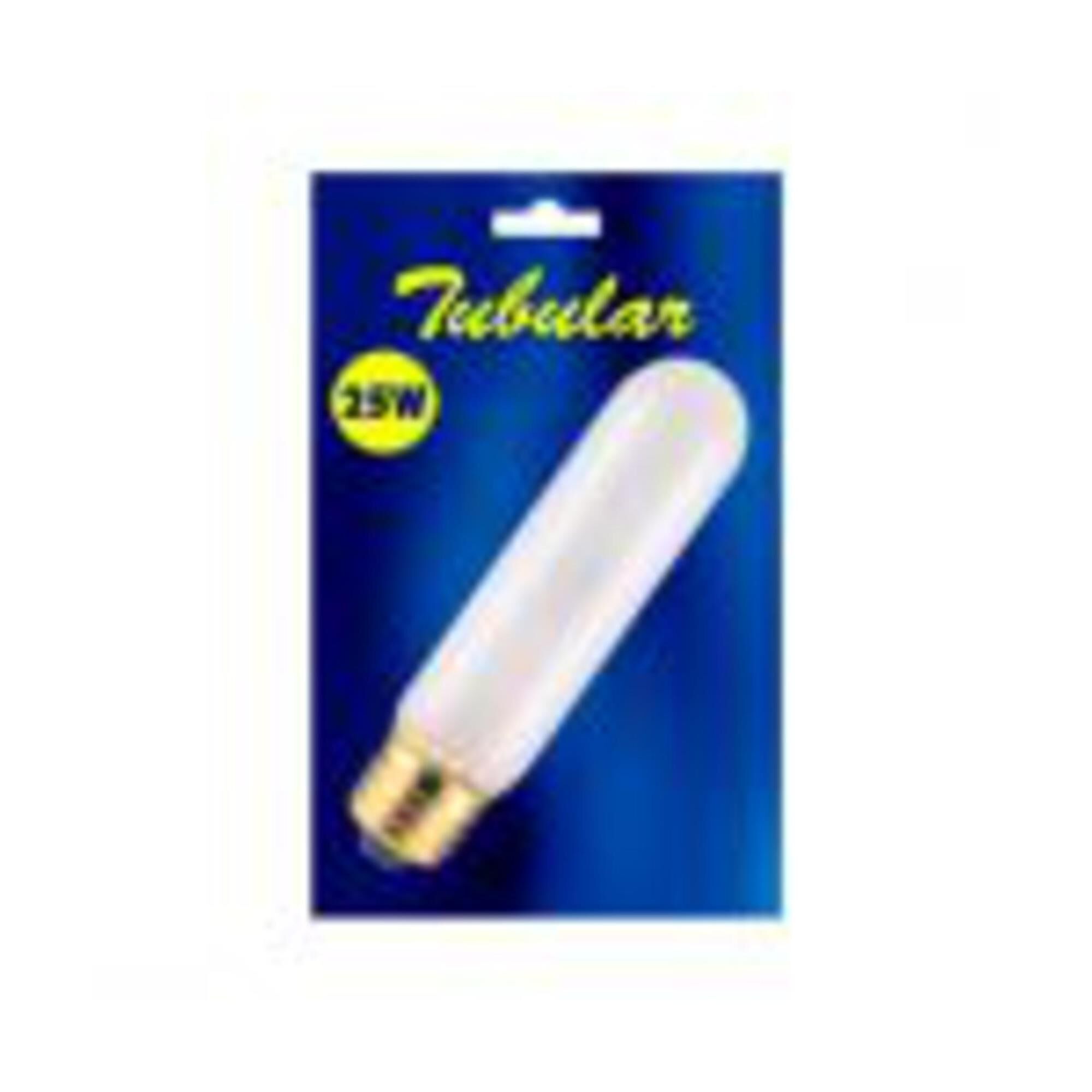 60 Watt 2700K T10 Incandescent Light Bulb,
