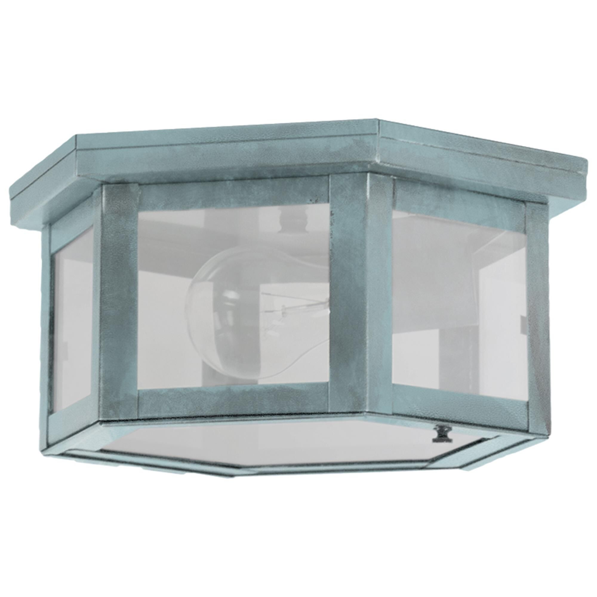 Williams 10 Inch Outdoor Flush Mount,