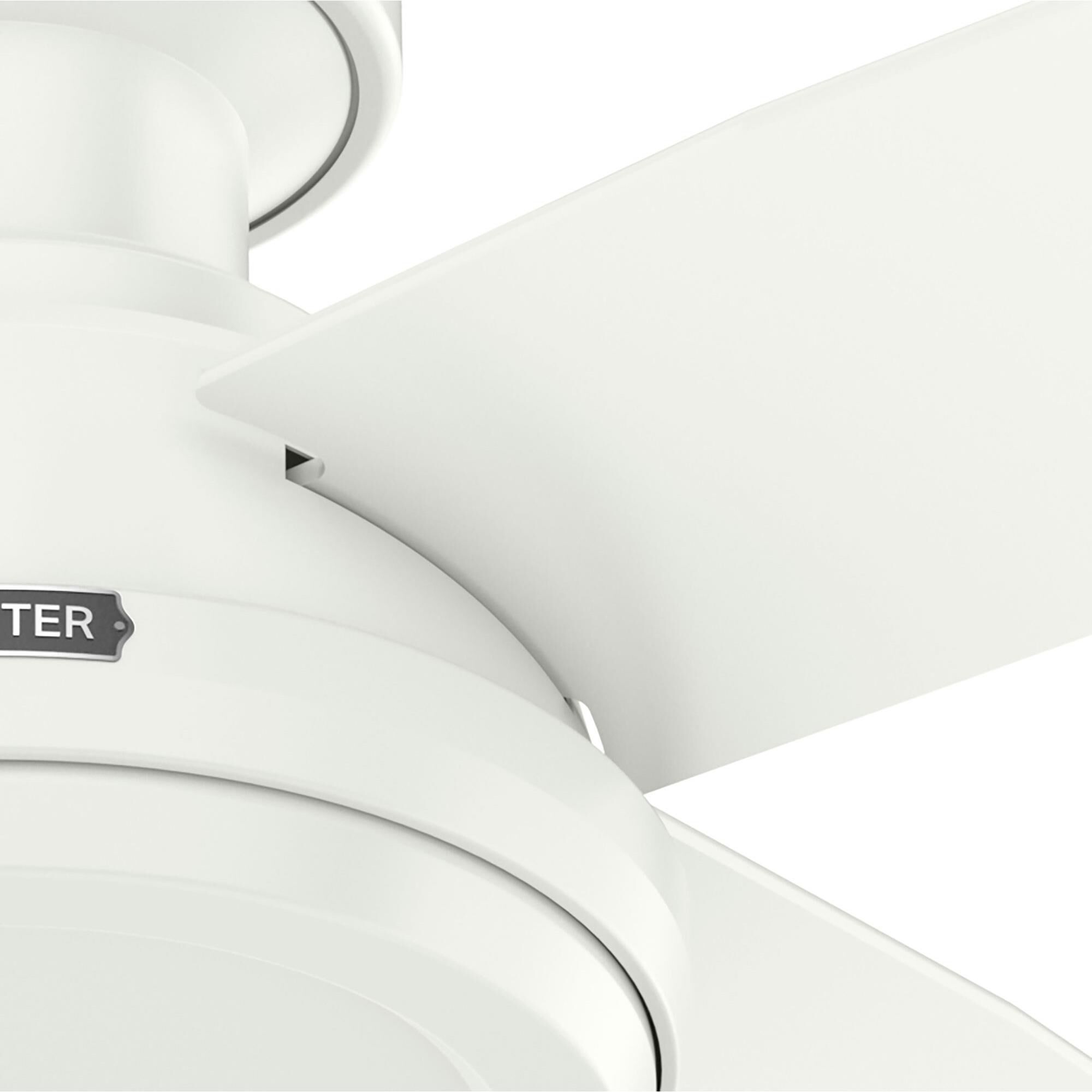 Dempsey 44 Inch Flush Mount Fan,