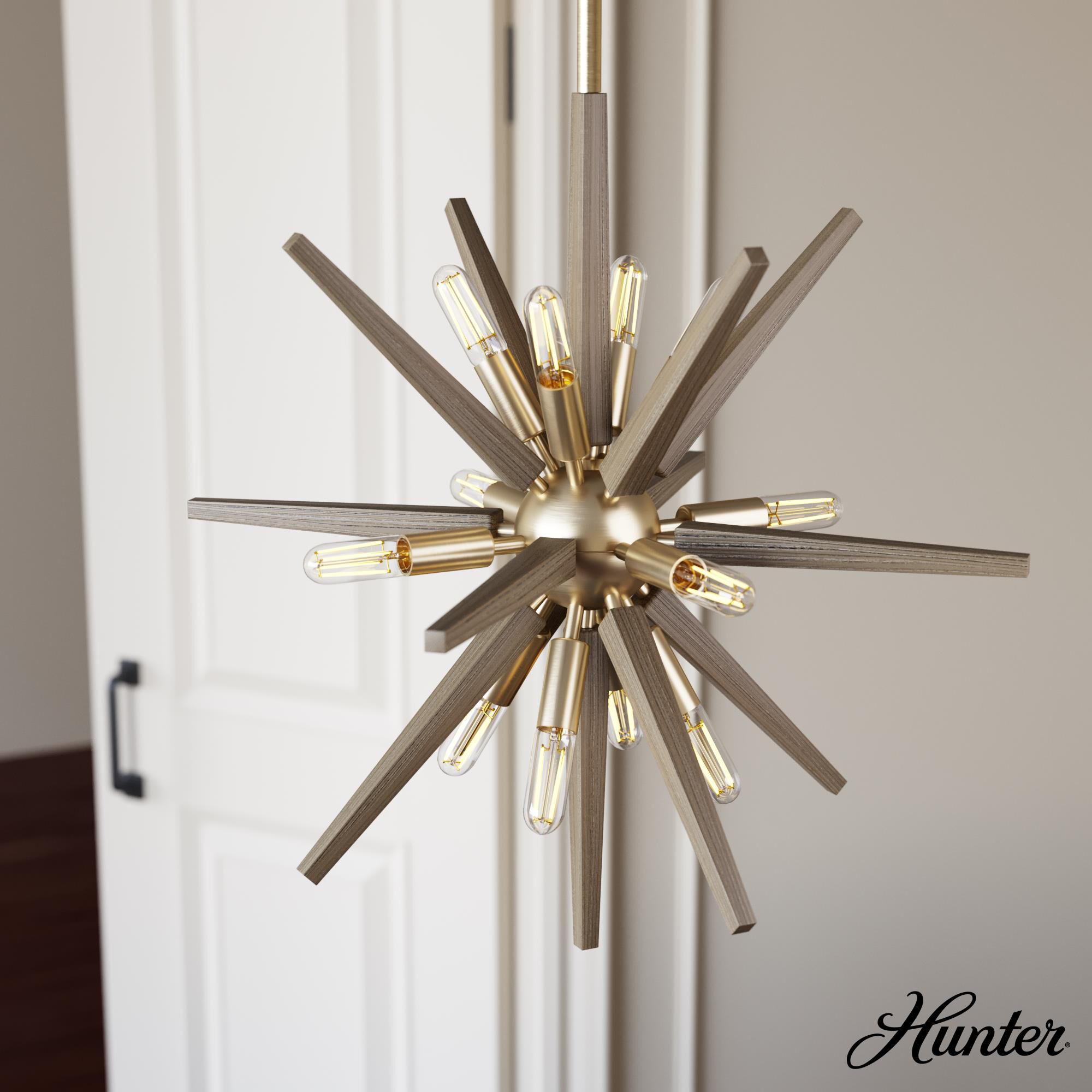 Jupiter Star 30 Inch Large Pendant by Hunter Fan