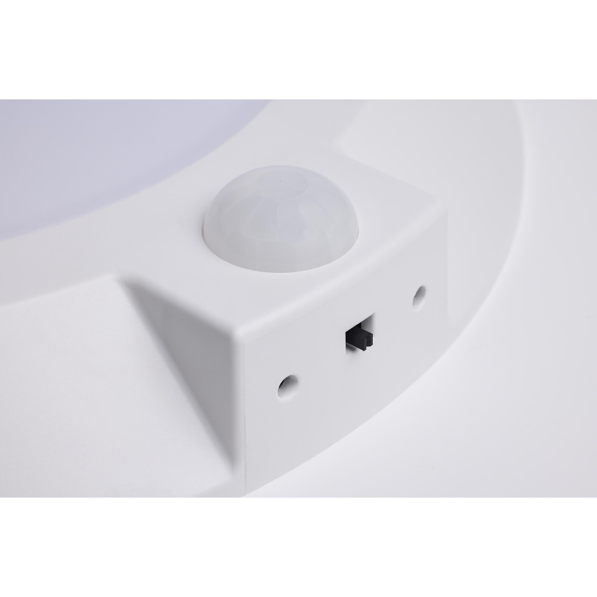 10 Inch Flush Mount by Nuvo Lighting