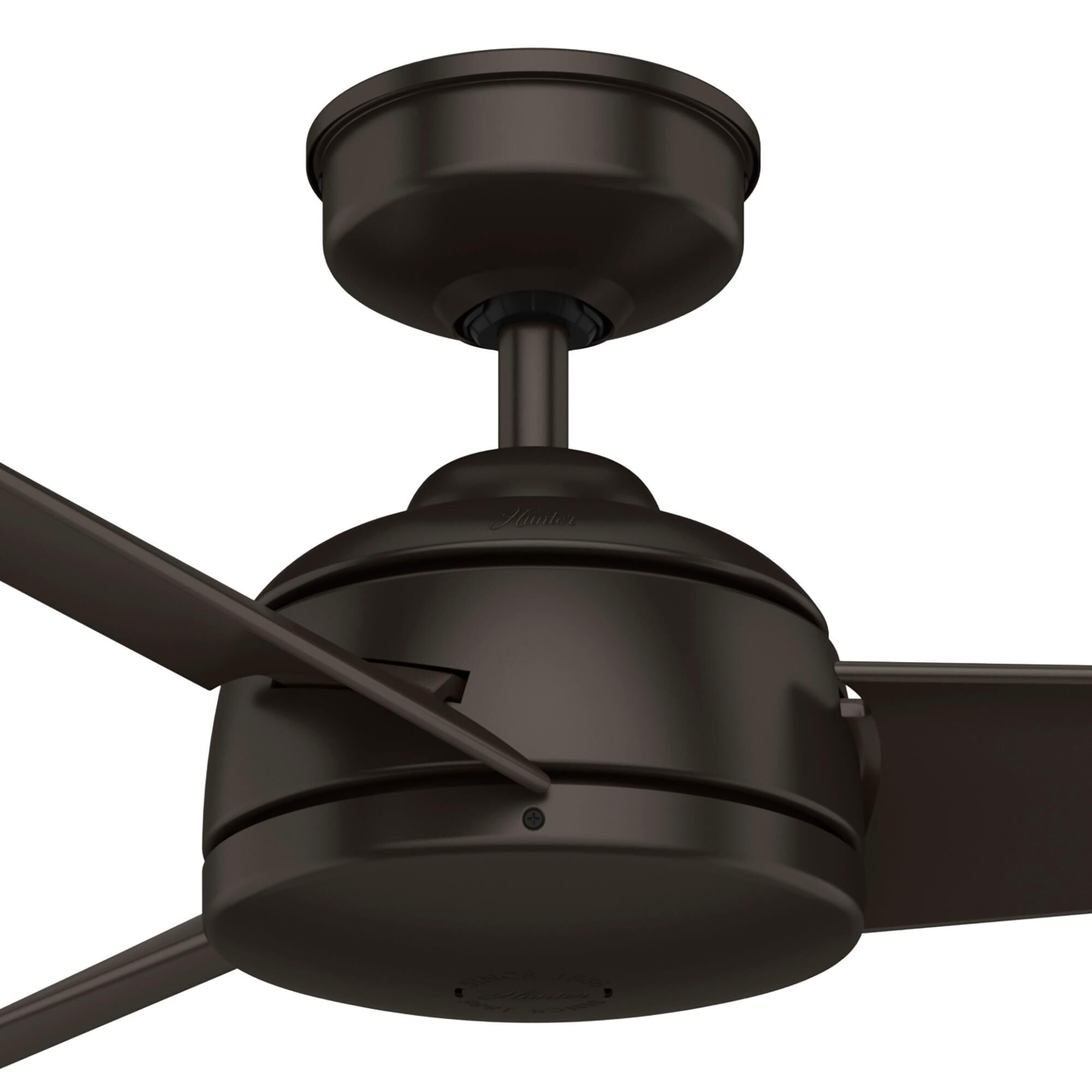 Trimaran Ceiling Fan by Hunter Fan