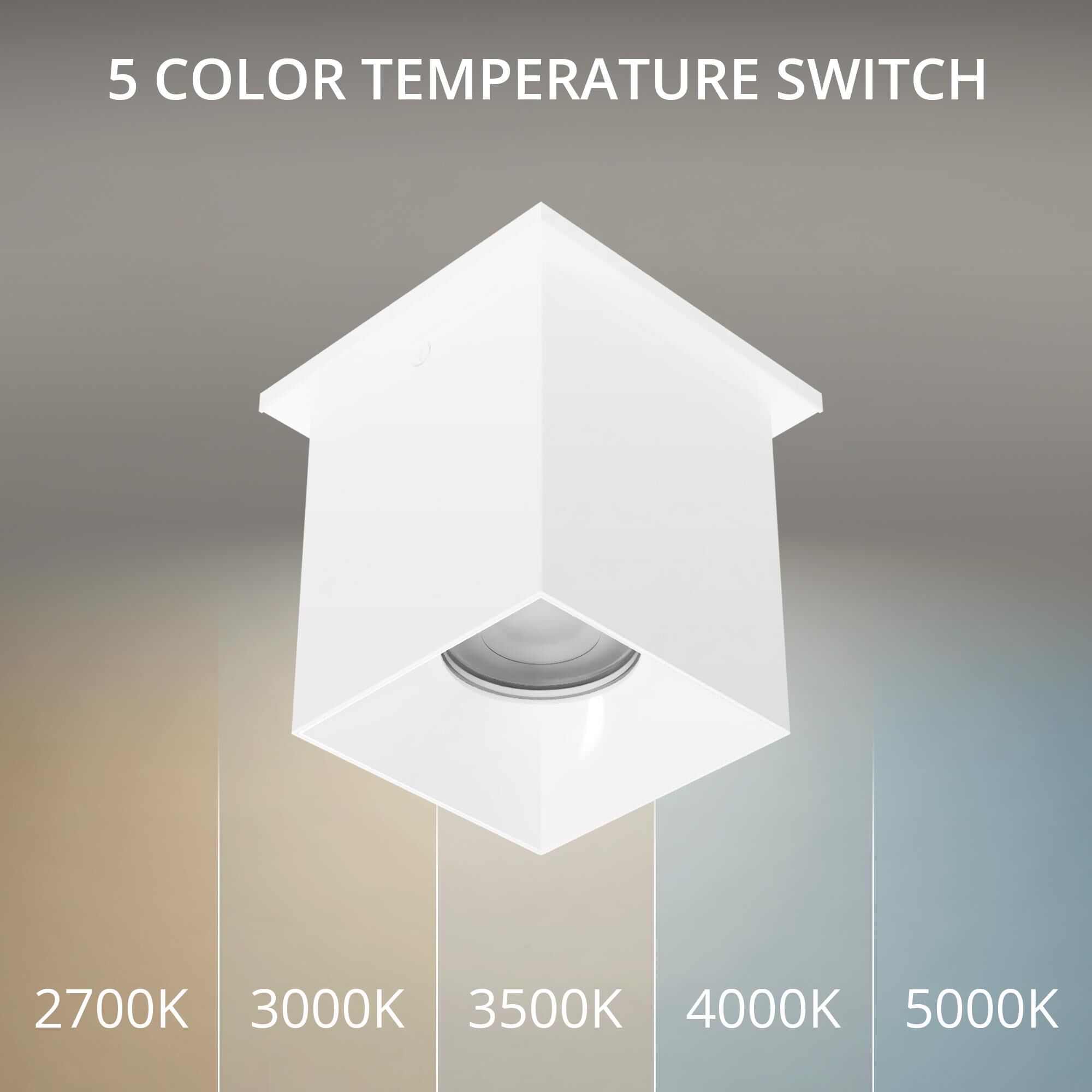 Zoron 5 Inch Outdoor Flush Mount by WAC Lighting