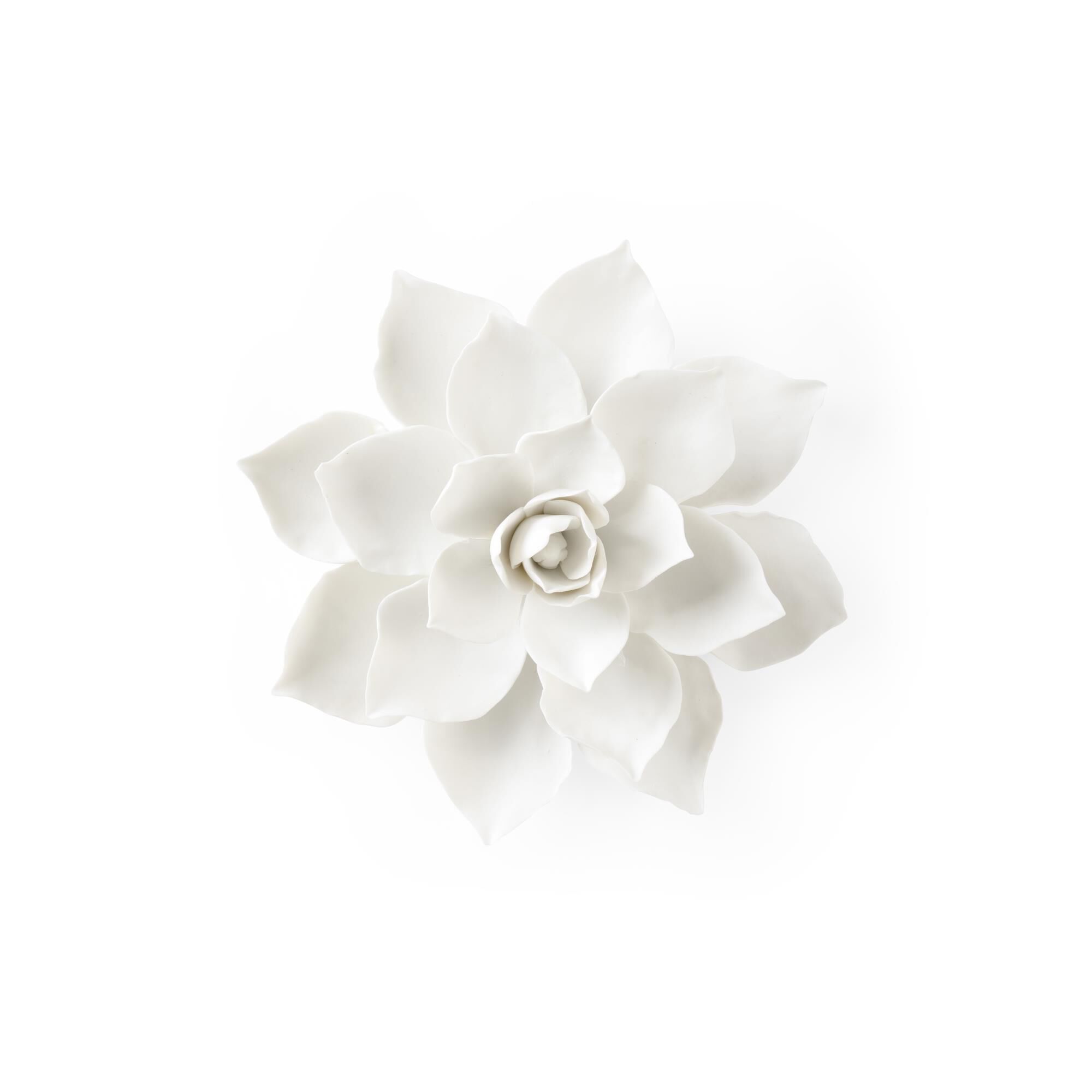 Magnolia Wall Flower Alternative Wall Art by Chelsea House