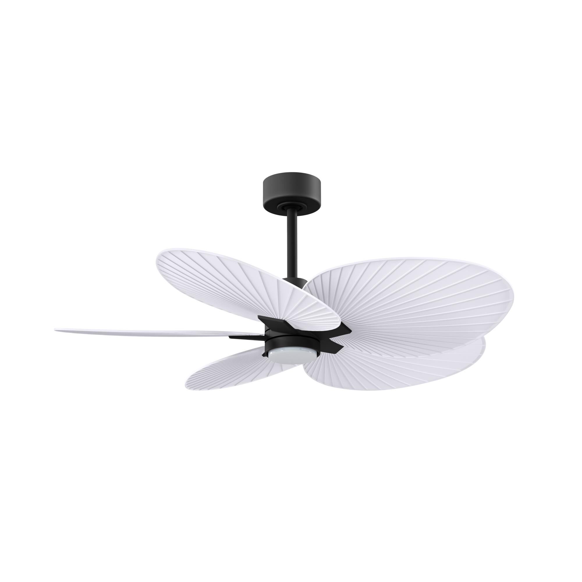 Alessandra Tropical Outdoor Rated 48 Inch Ceiling Fan with Light Kit by Matthews Fan Company