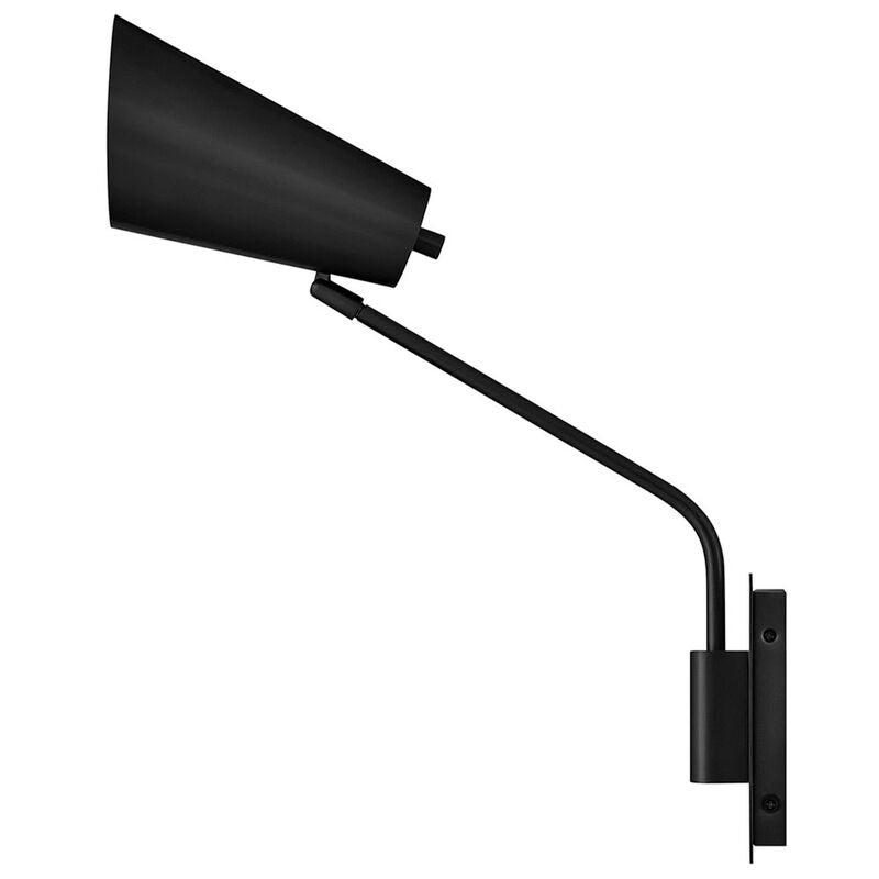 Bray Large Wall Swing Lamp by Hinkley
