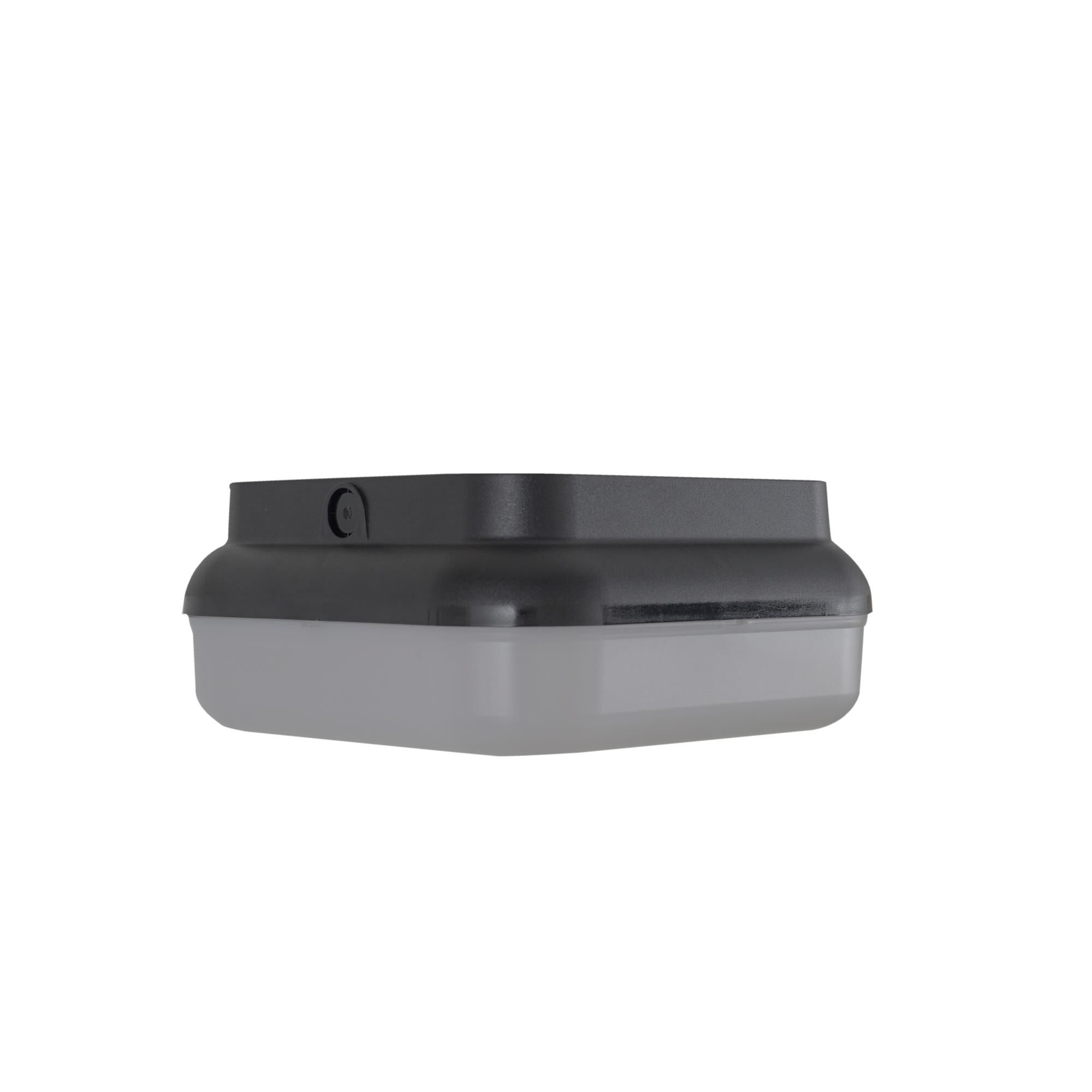 Resilience Lanterns 10 Inch Outdoor Flush Mount,
