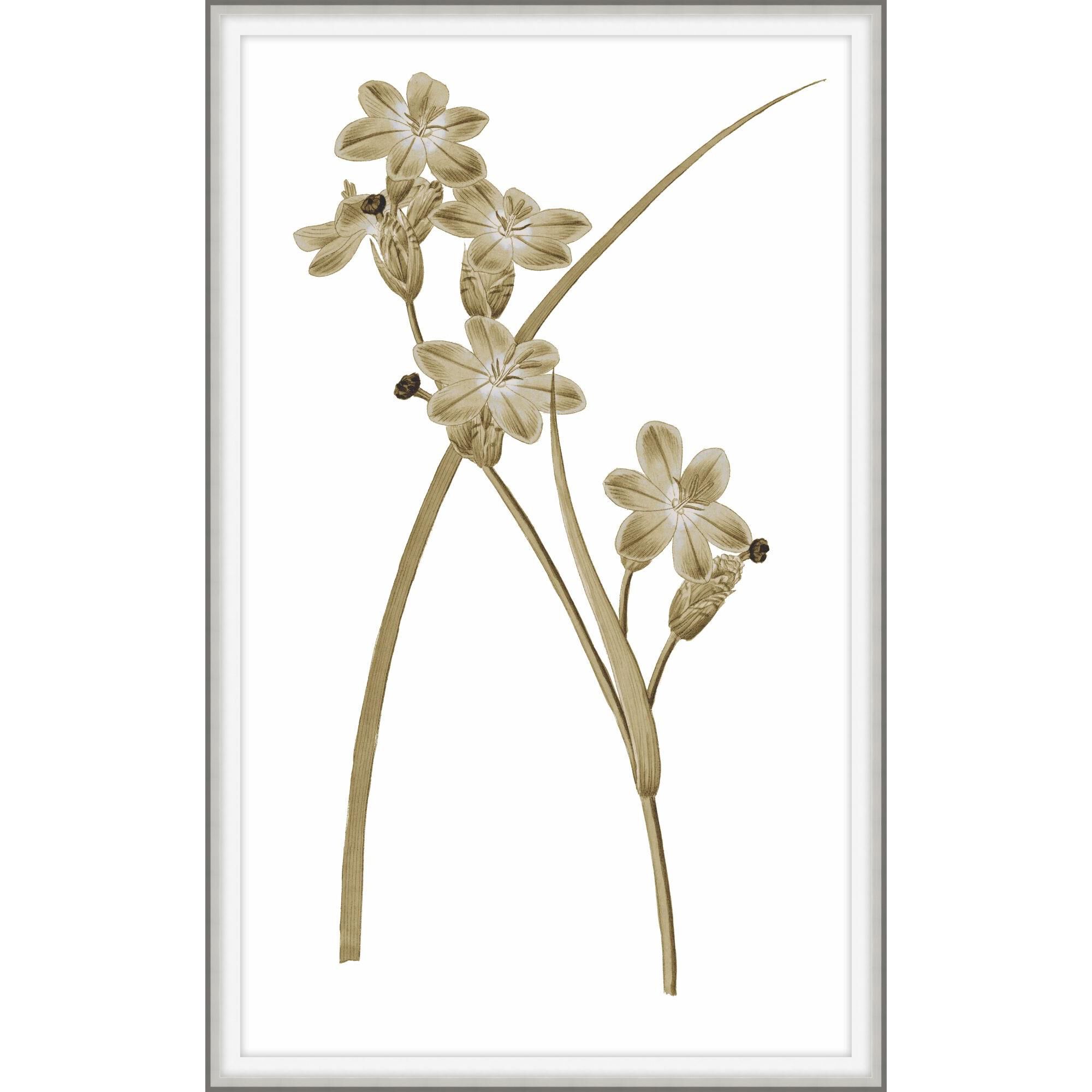 Sweet Preservation Print by LEVEL57