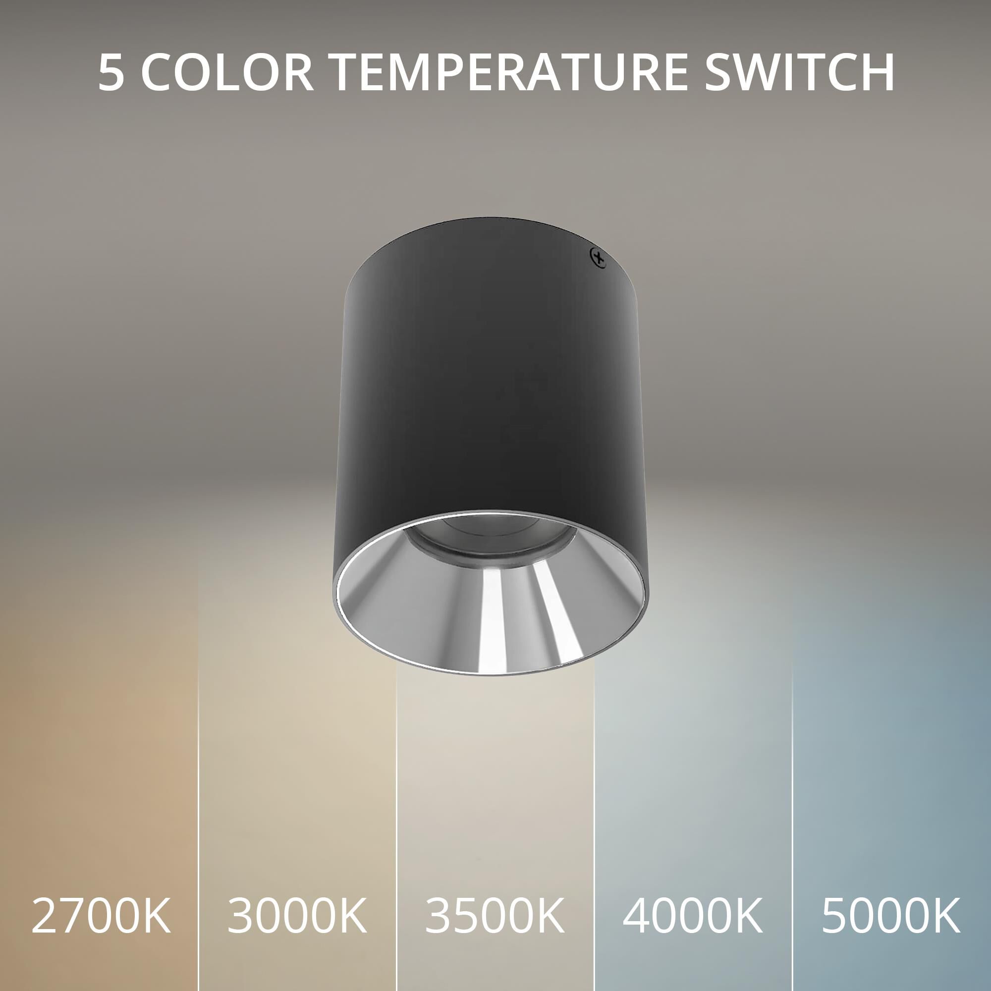 Zoron 4 Inch Outdoor Flush Mount by WAC Lighting